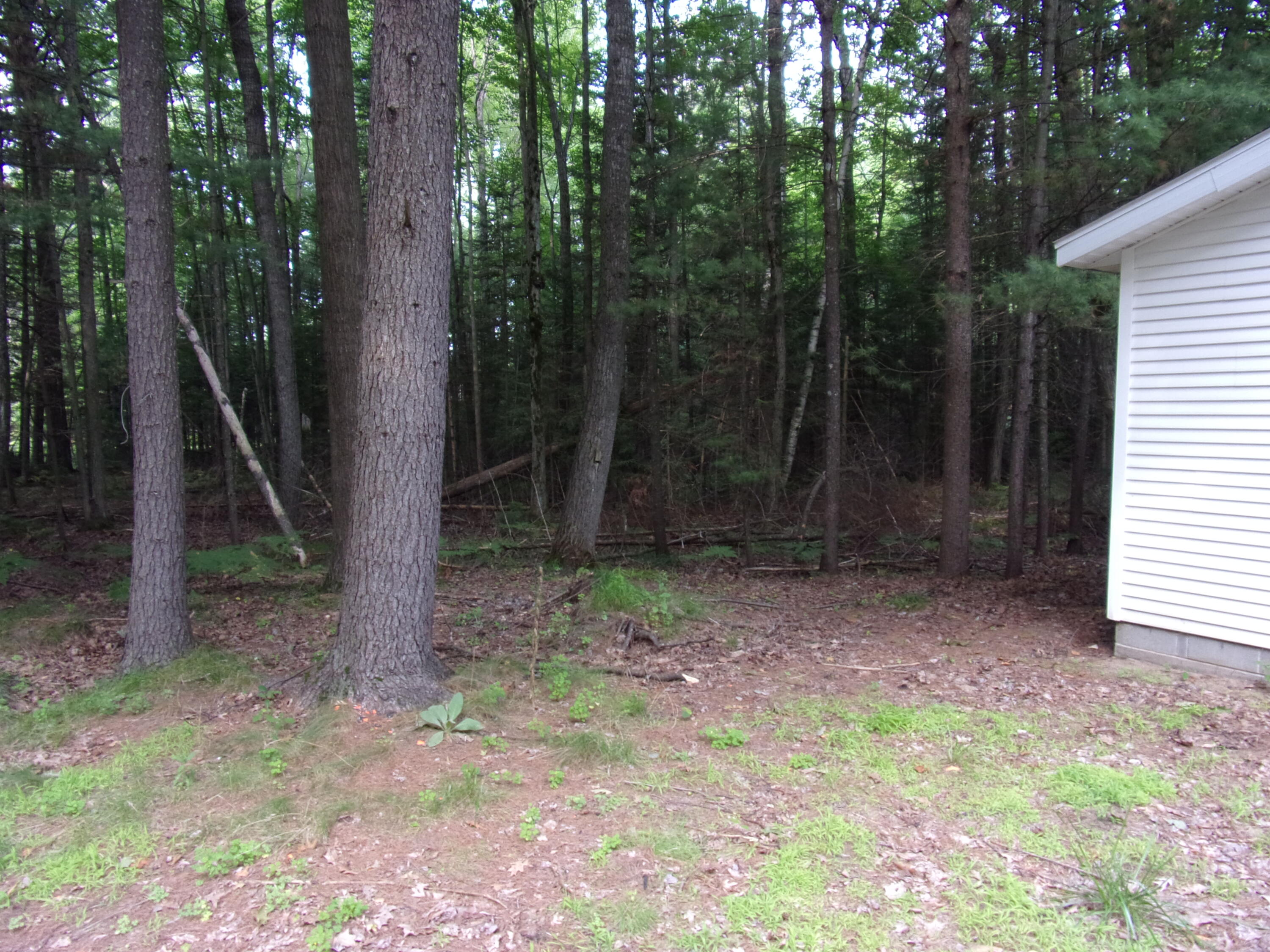 118 Split Hoof Trail