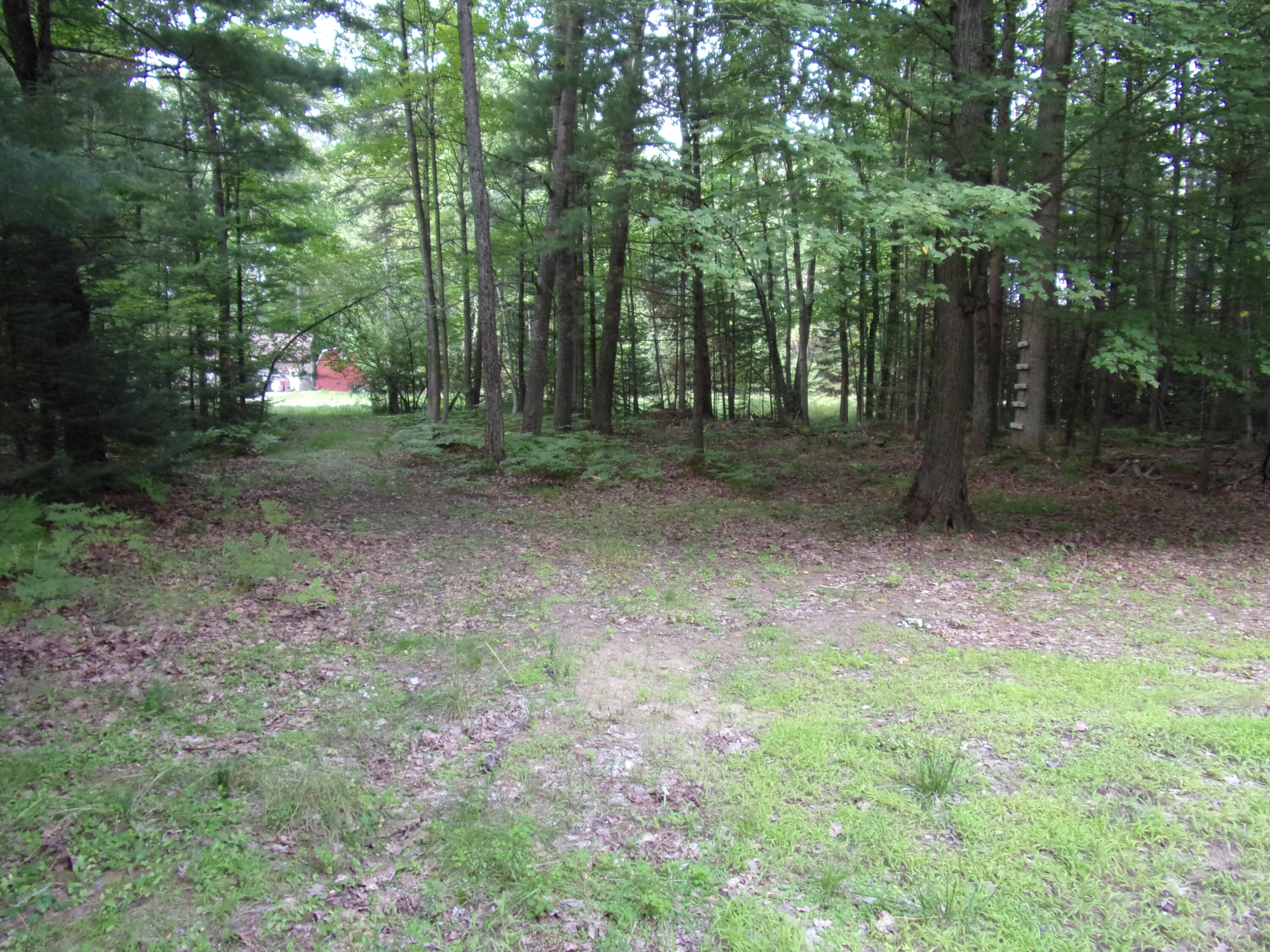 118 Split Hoof Trail