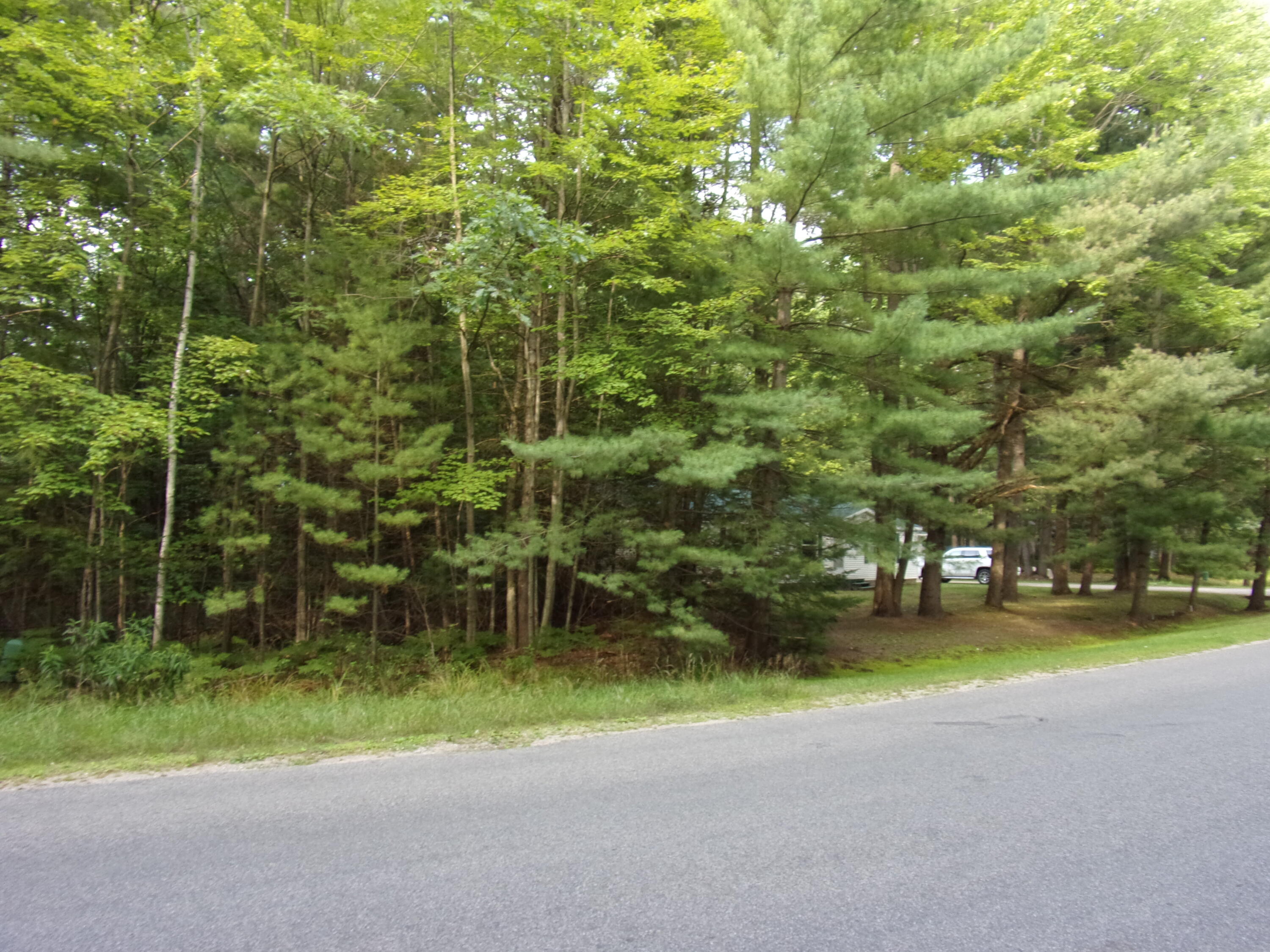 118 Split Hoof Trail