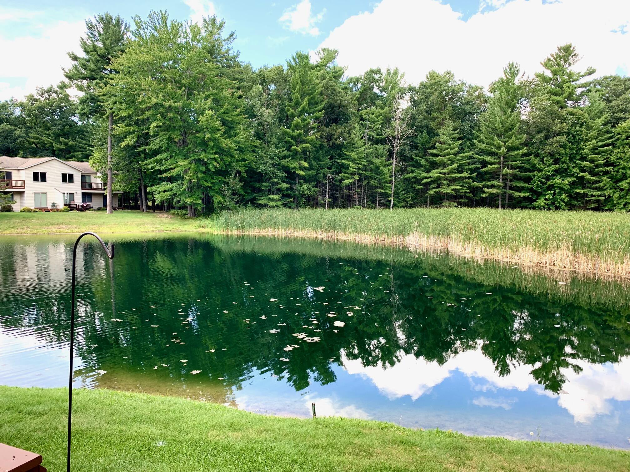 211 White Deer Trail, #6