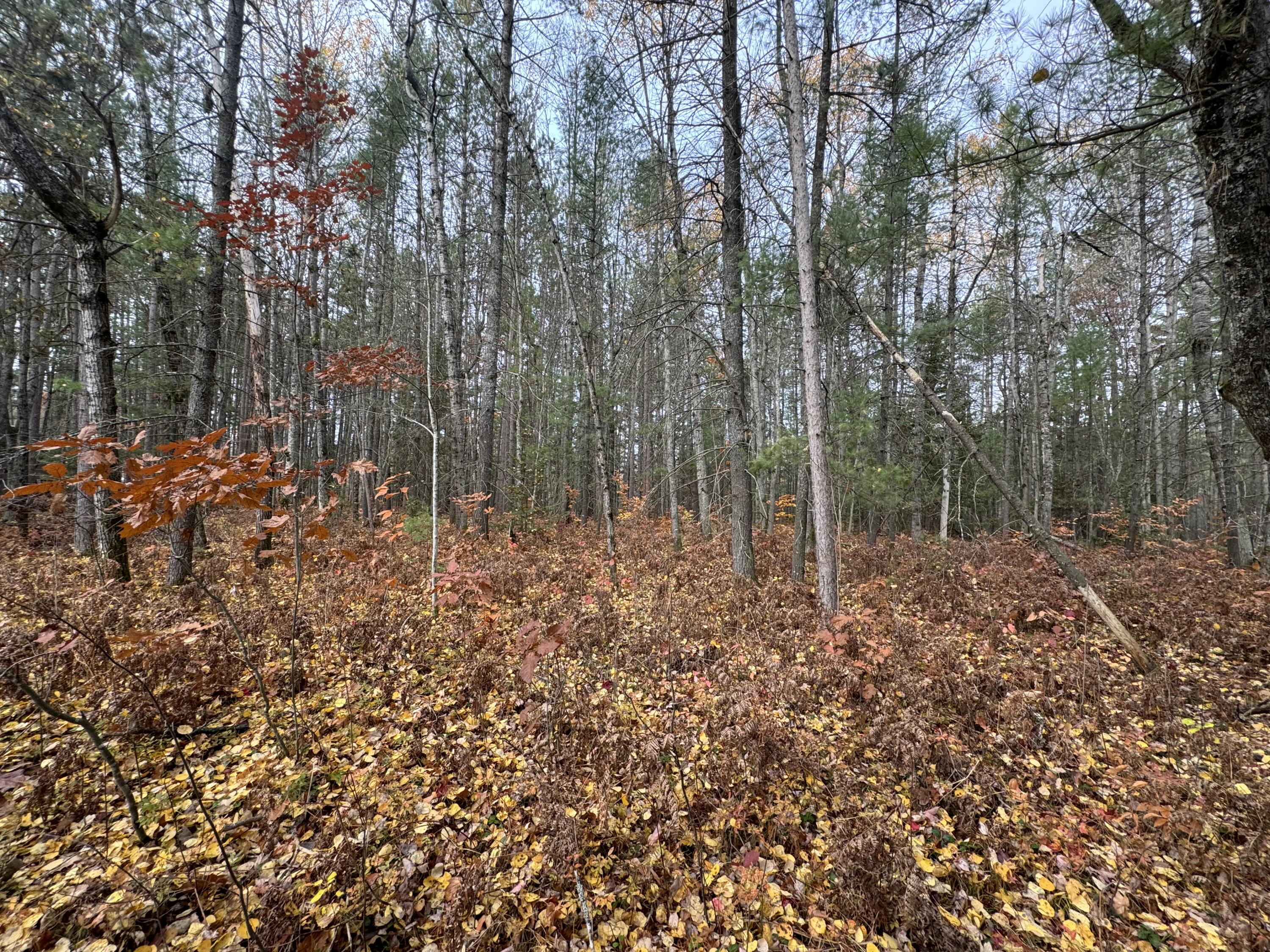 Lot 8 & 9 N Partridge Drive