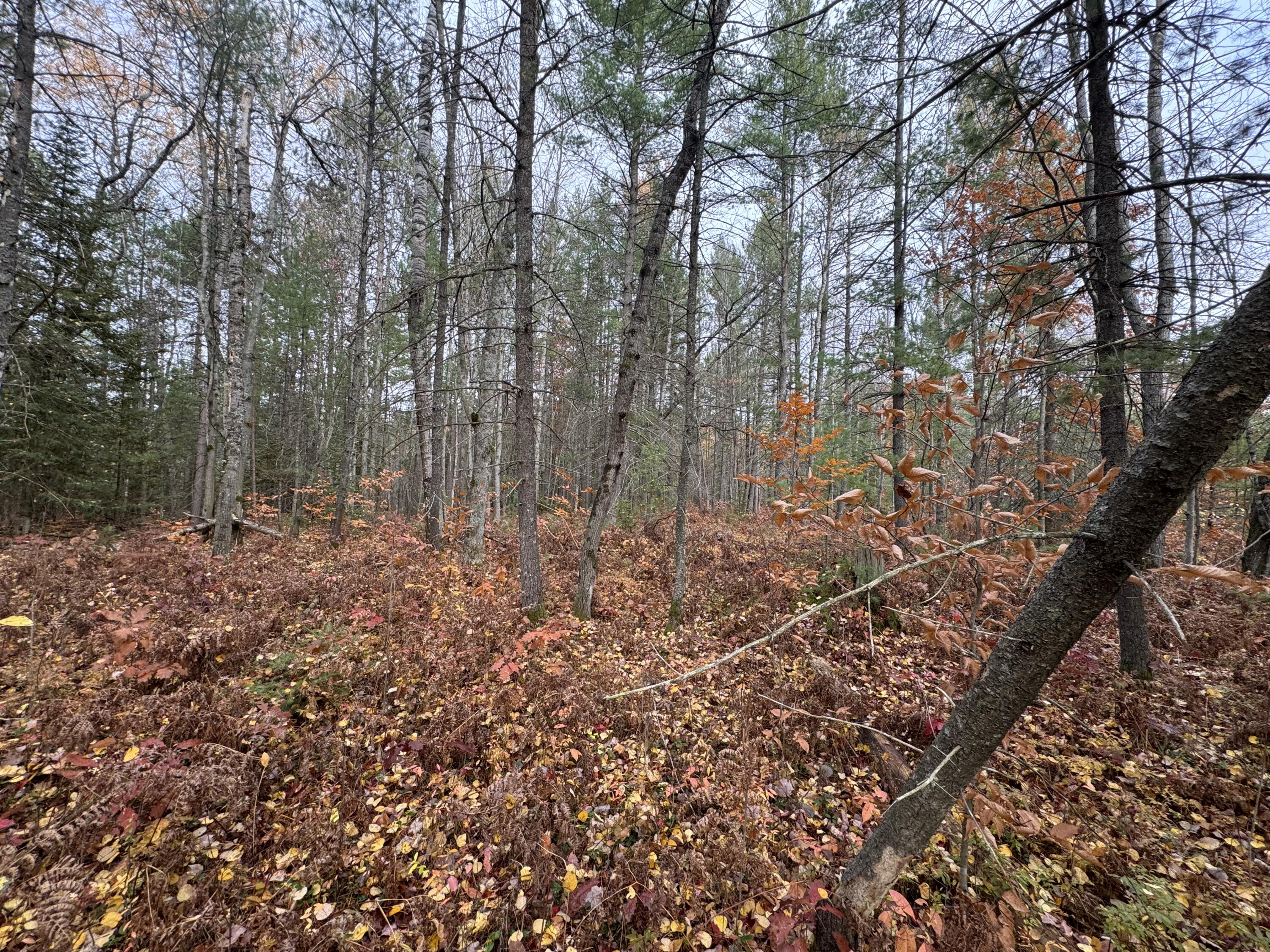 Lot 8 & 9 N Partridge Drive