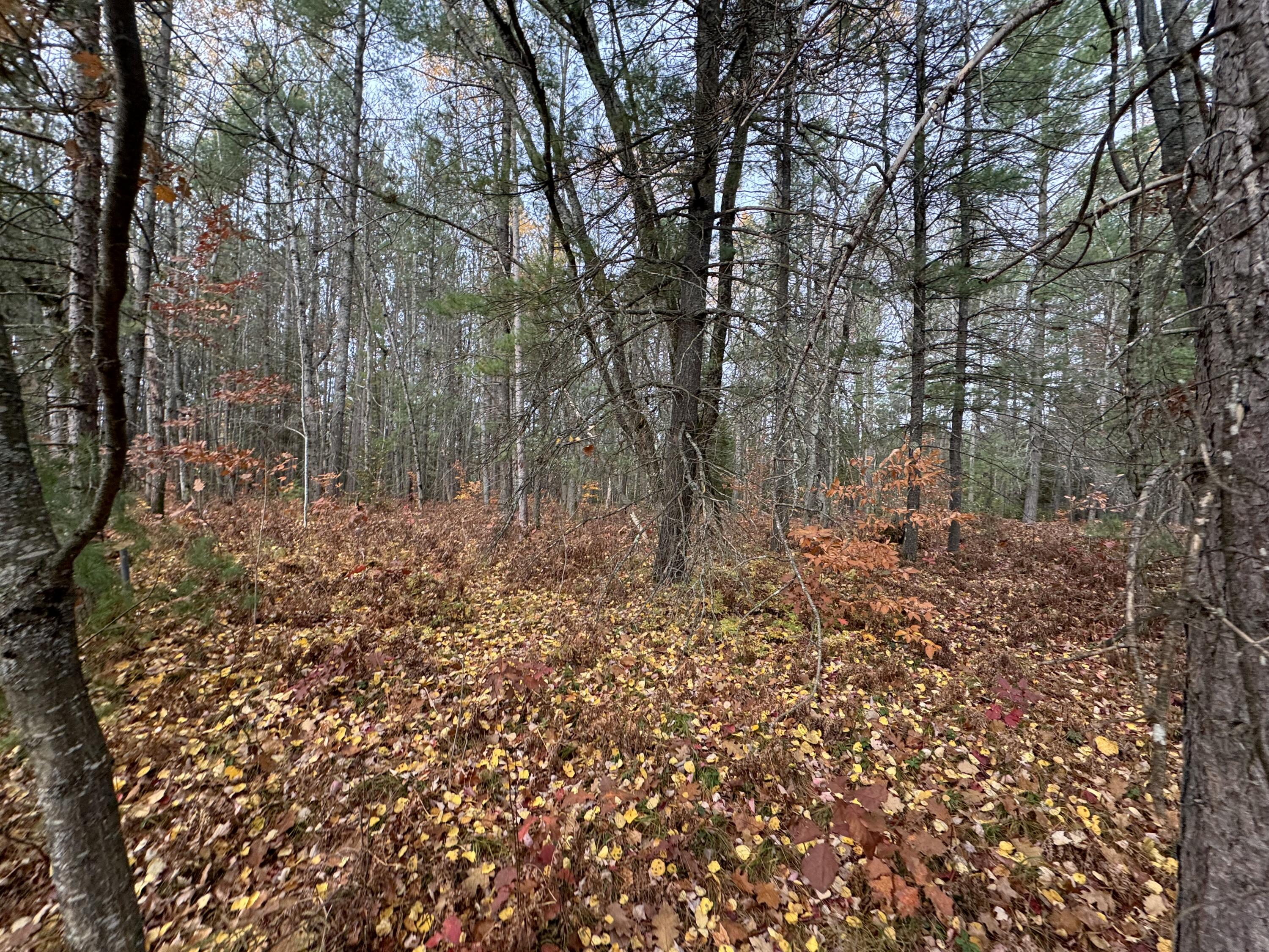 Lot 8 & 9 N Partridge Drive