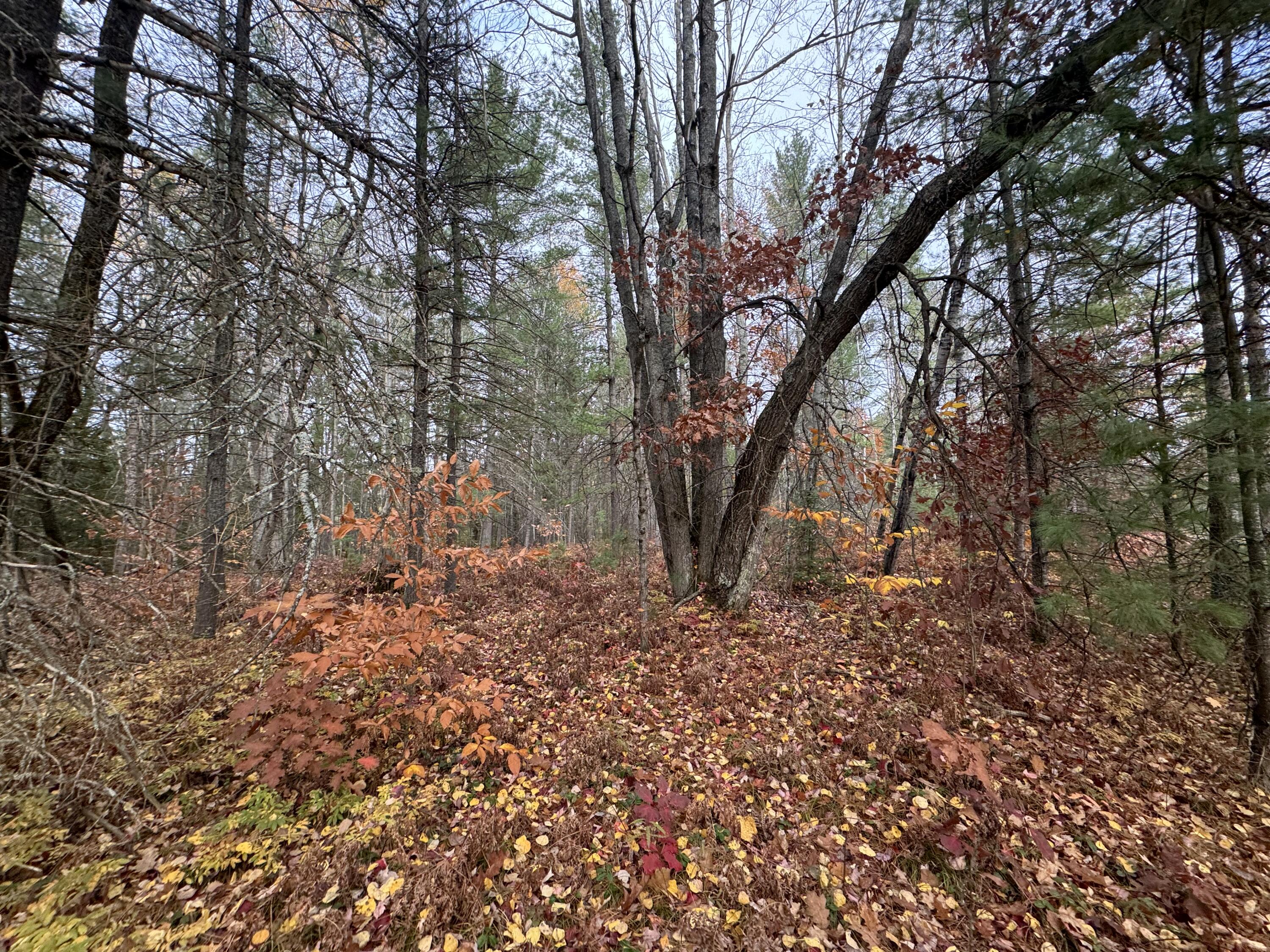 Lot 8 & 9 N Partridge Drive