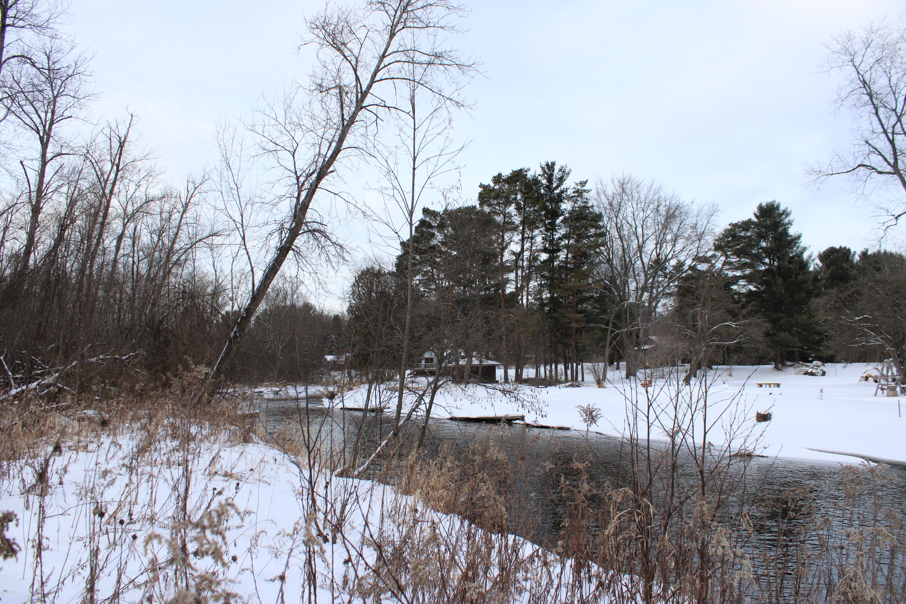 11072 Strawberry Avenue