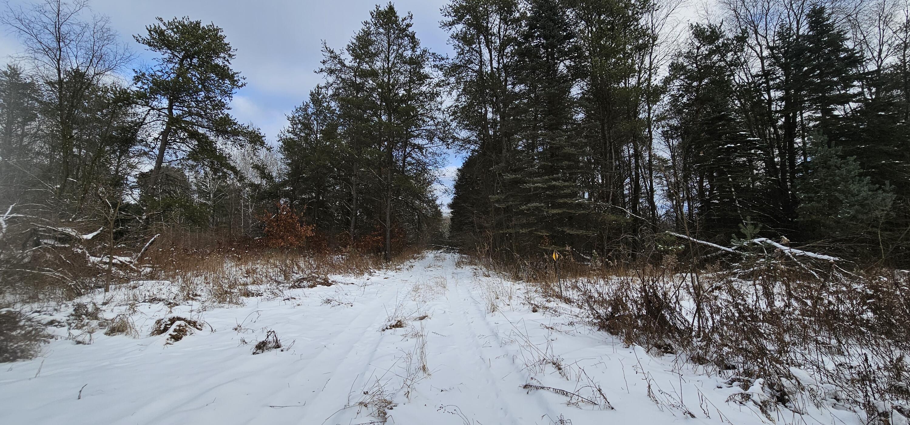 11072 Strawberry Avenue