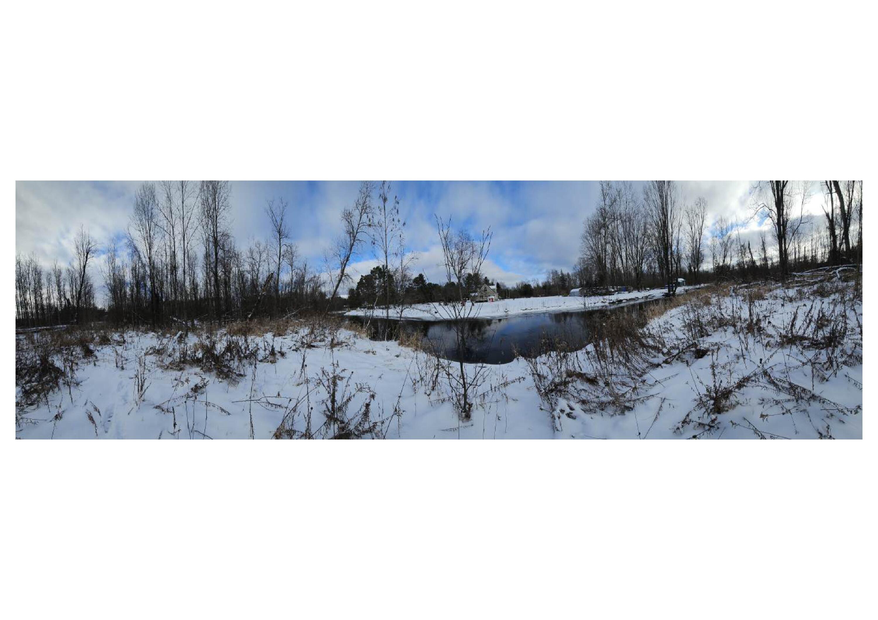 11072 Strawberry Avenue