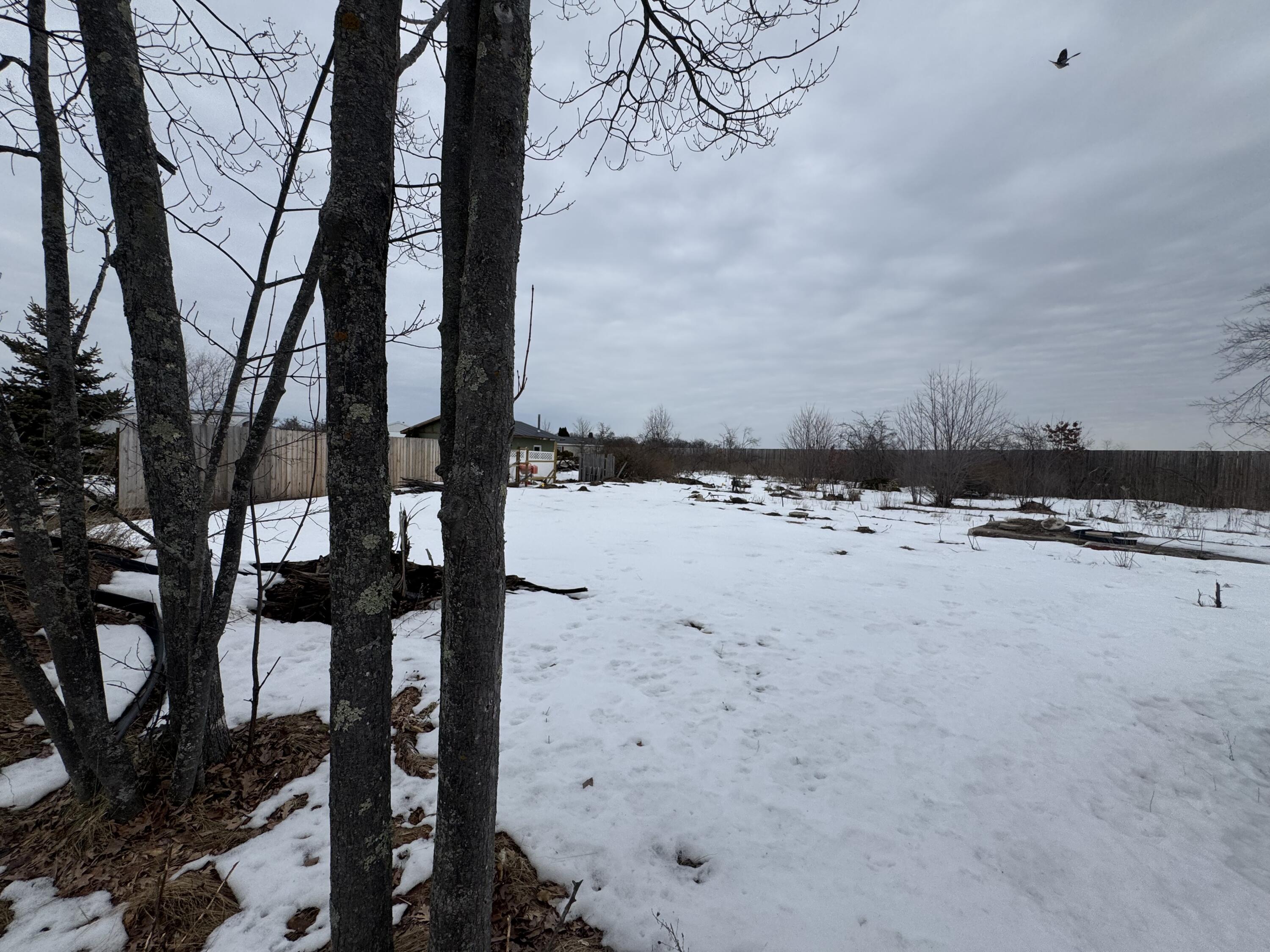 1603 Woodward Avenue