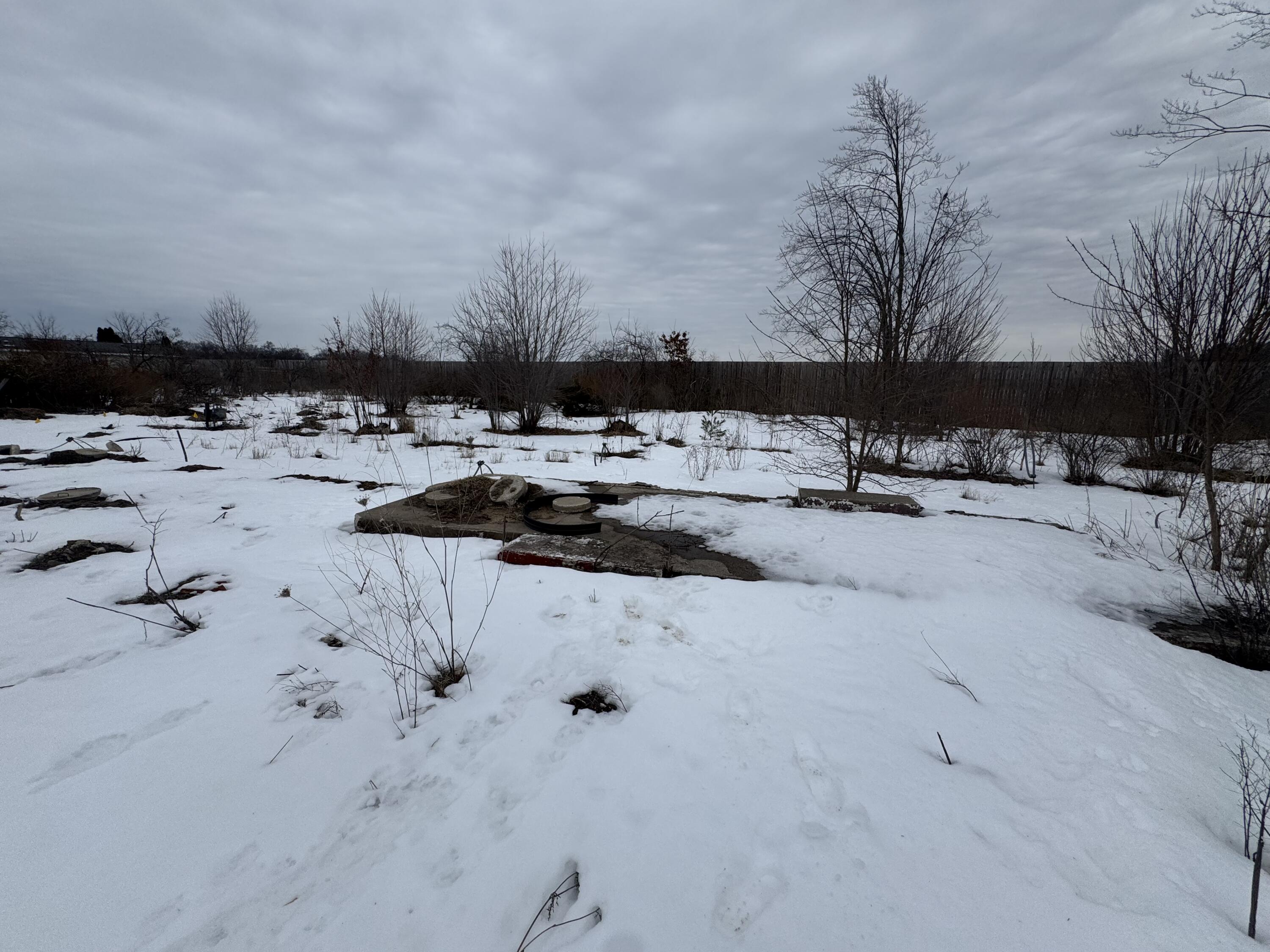 1603 Woodward Avenue