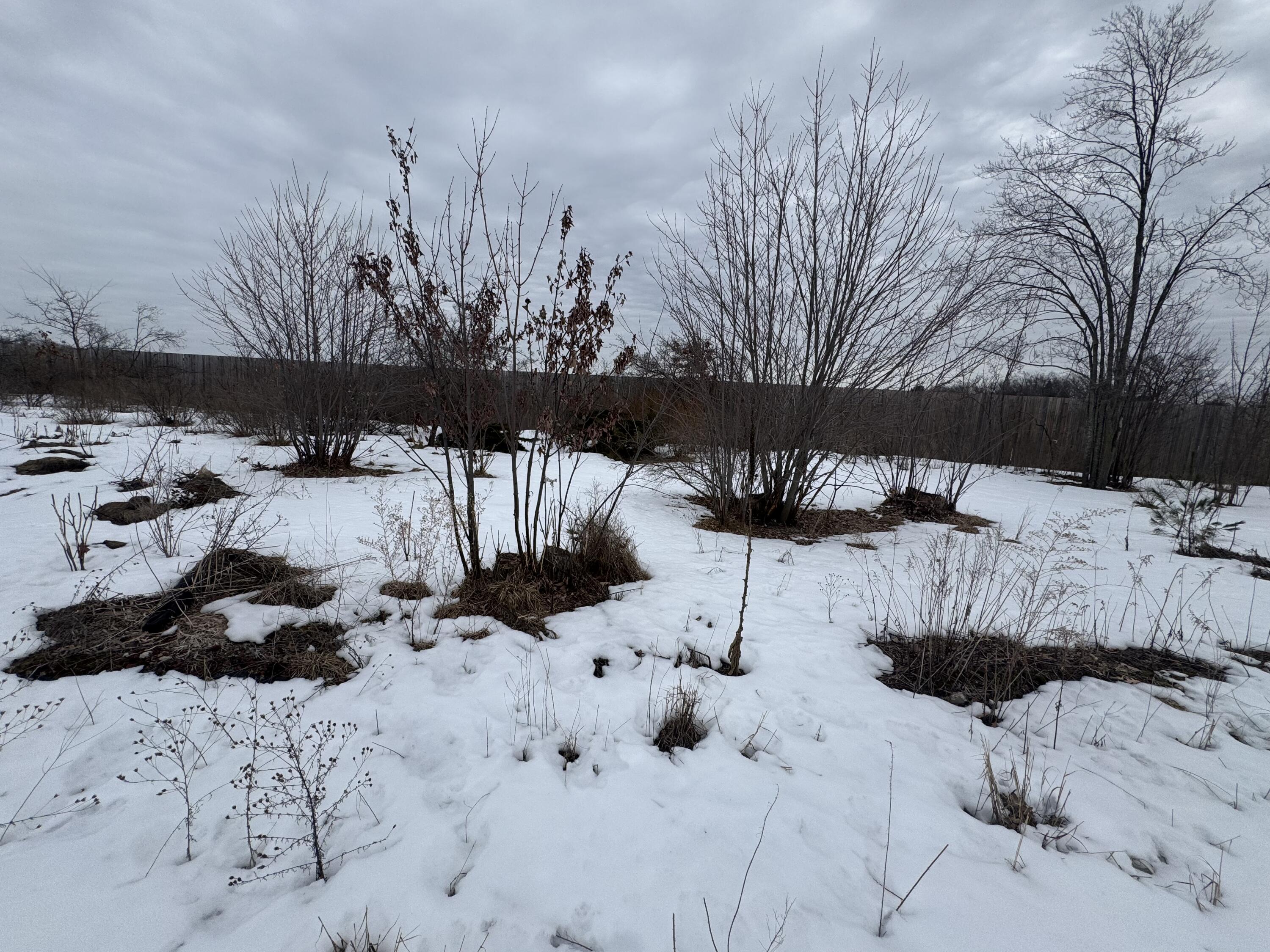 1603 Woodward Avenue