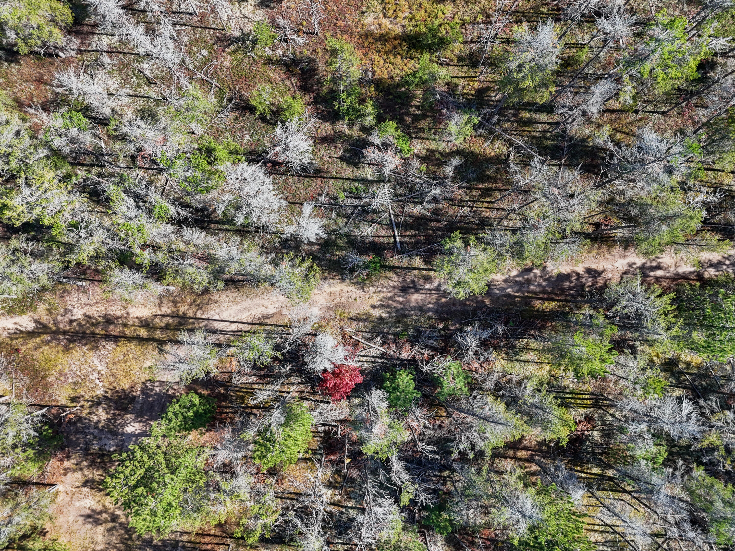 390 Ember Trail