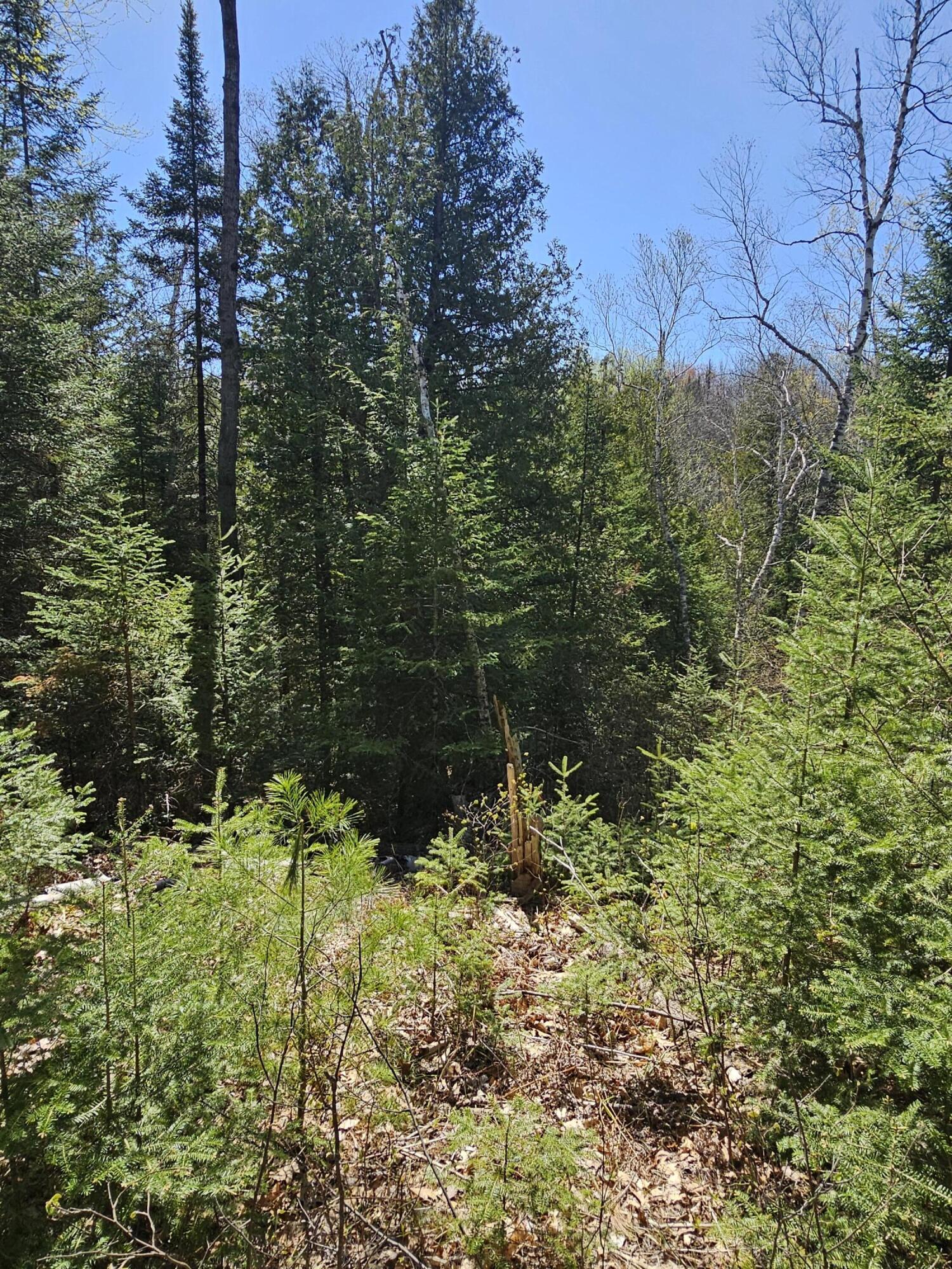 2.95 AC Squires Drive, 2.95 Acres