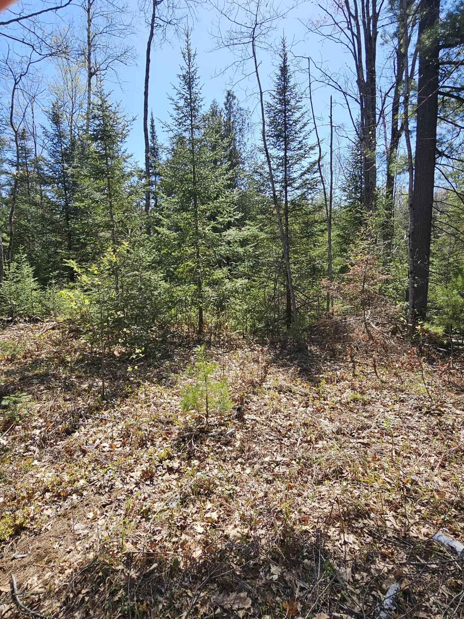 2.95 AC Squires Drive, 2.95 Acres