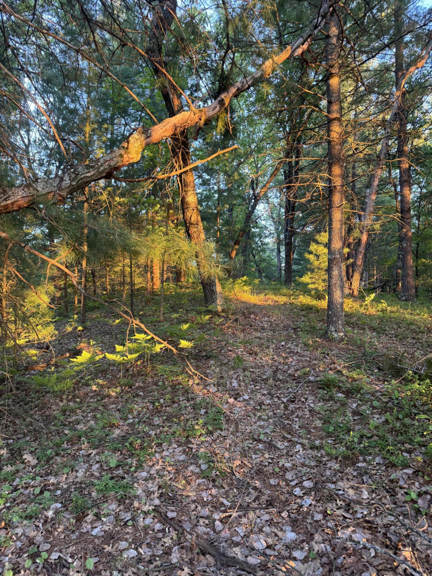 Lot 24 Riverview