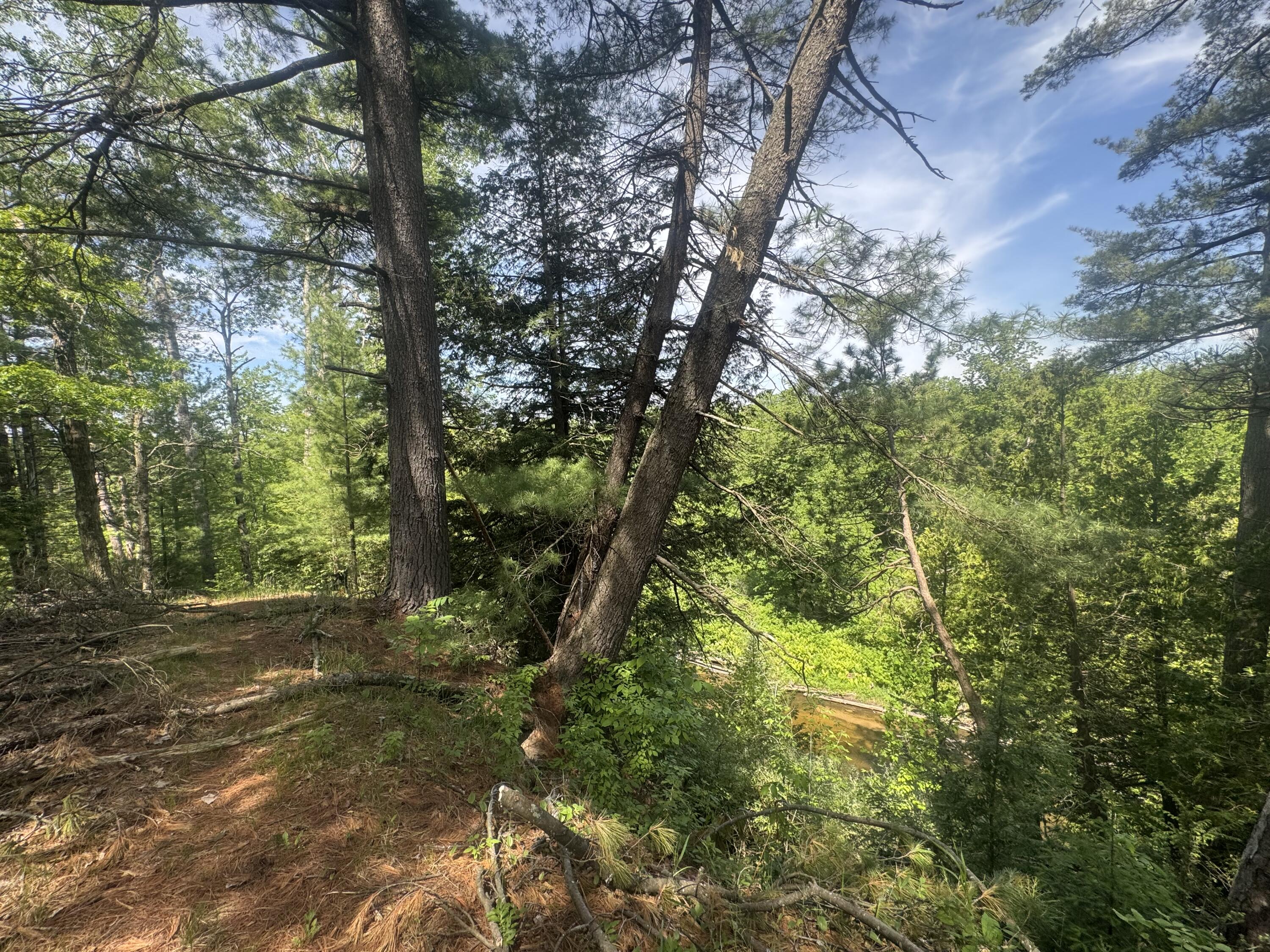 Lot 24 Riverview