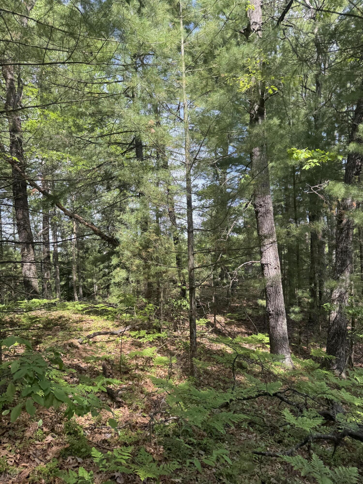 Lot 24 Riverview