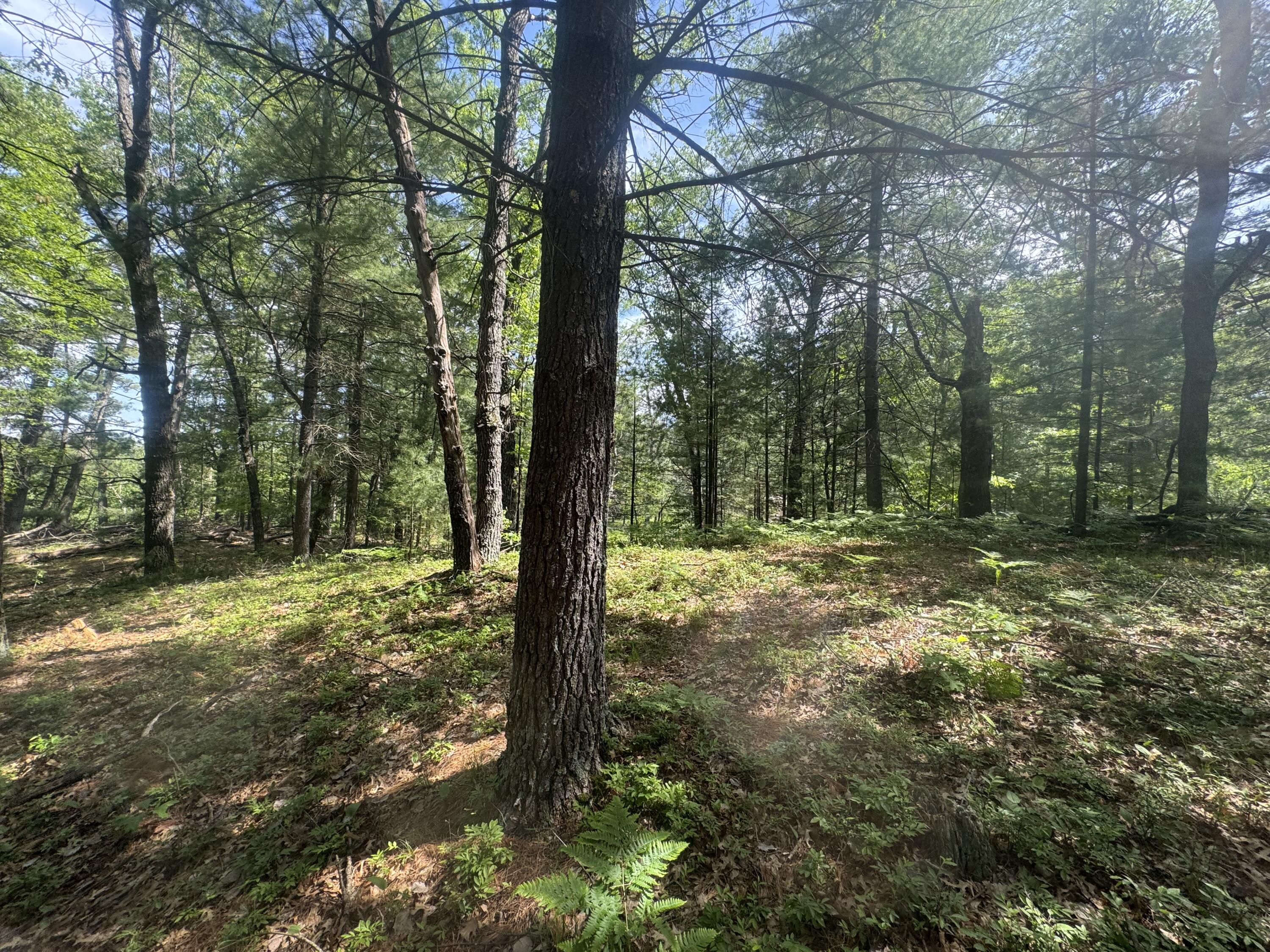 Lot 24 Riverview