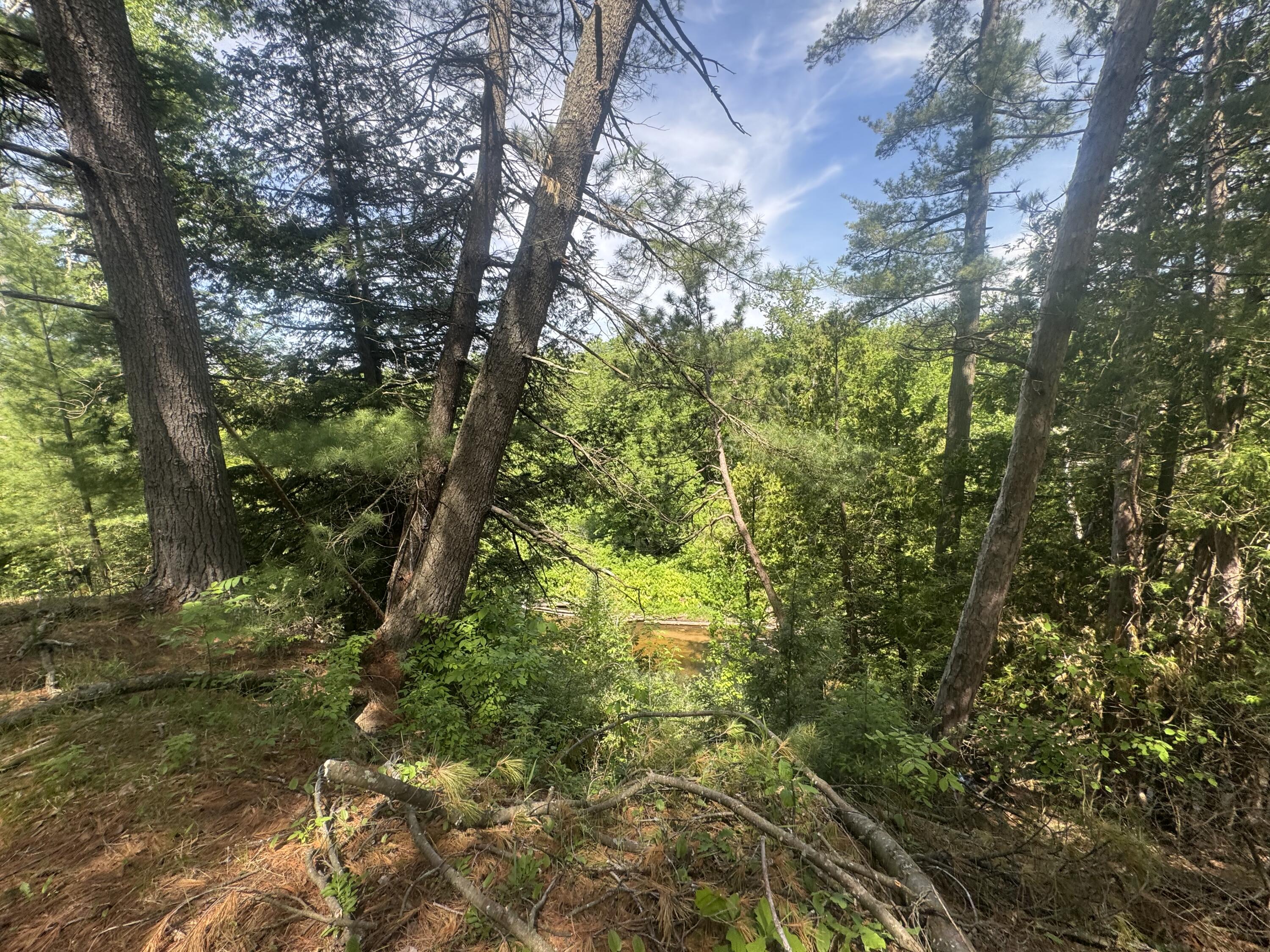 Lot 24 Riverview