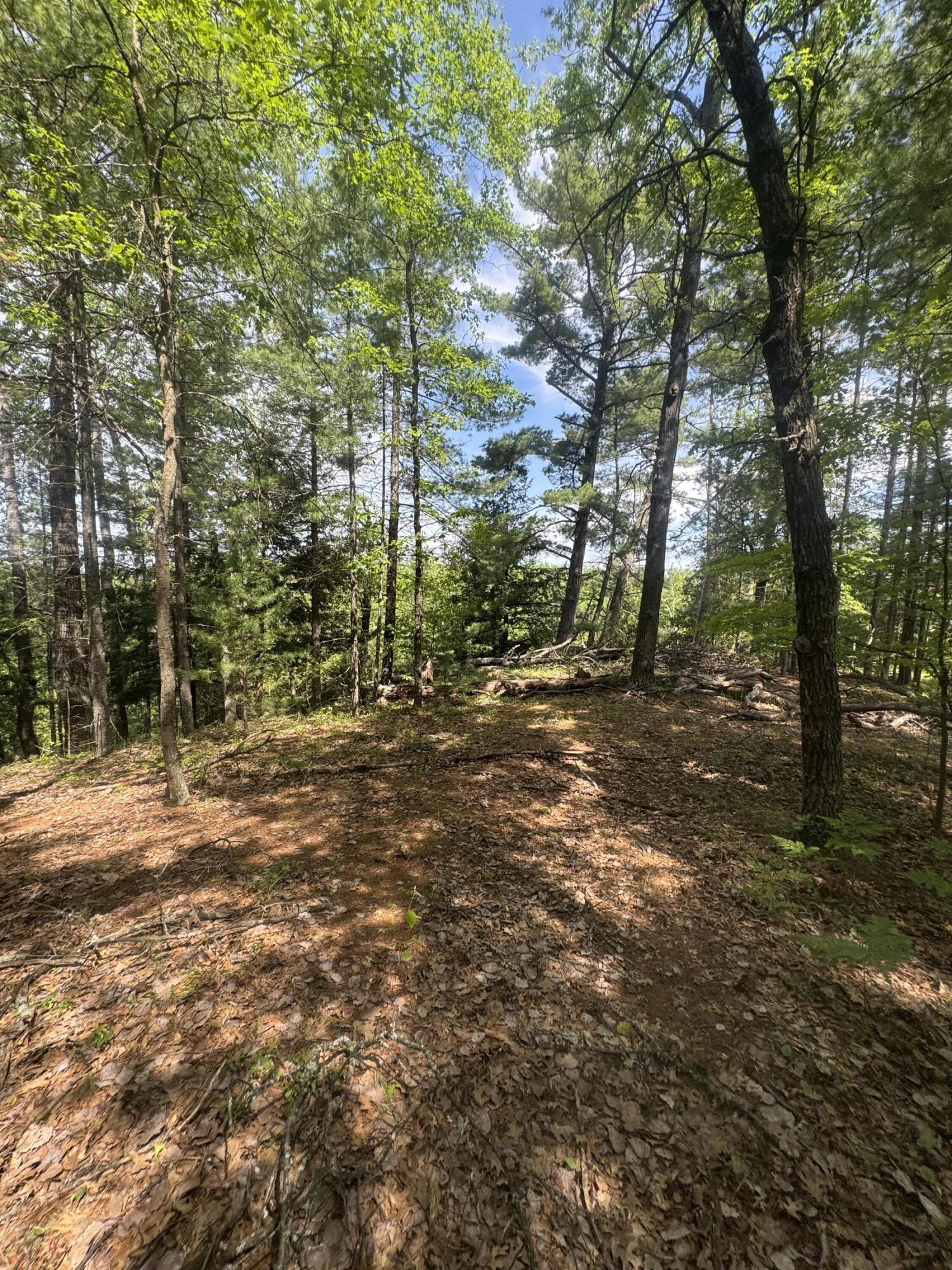 Lot 24 Riverview