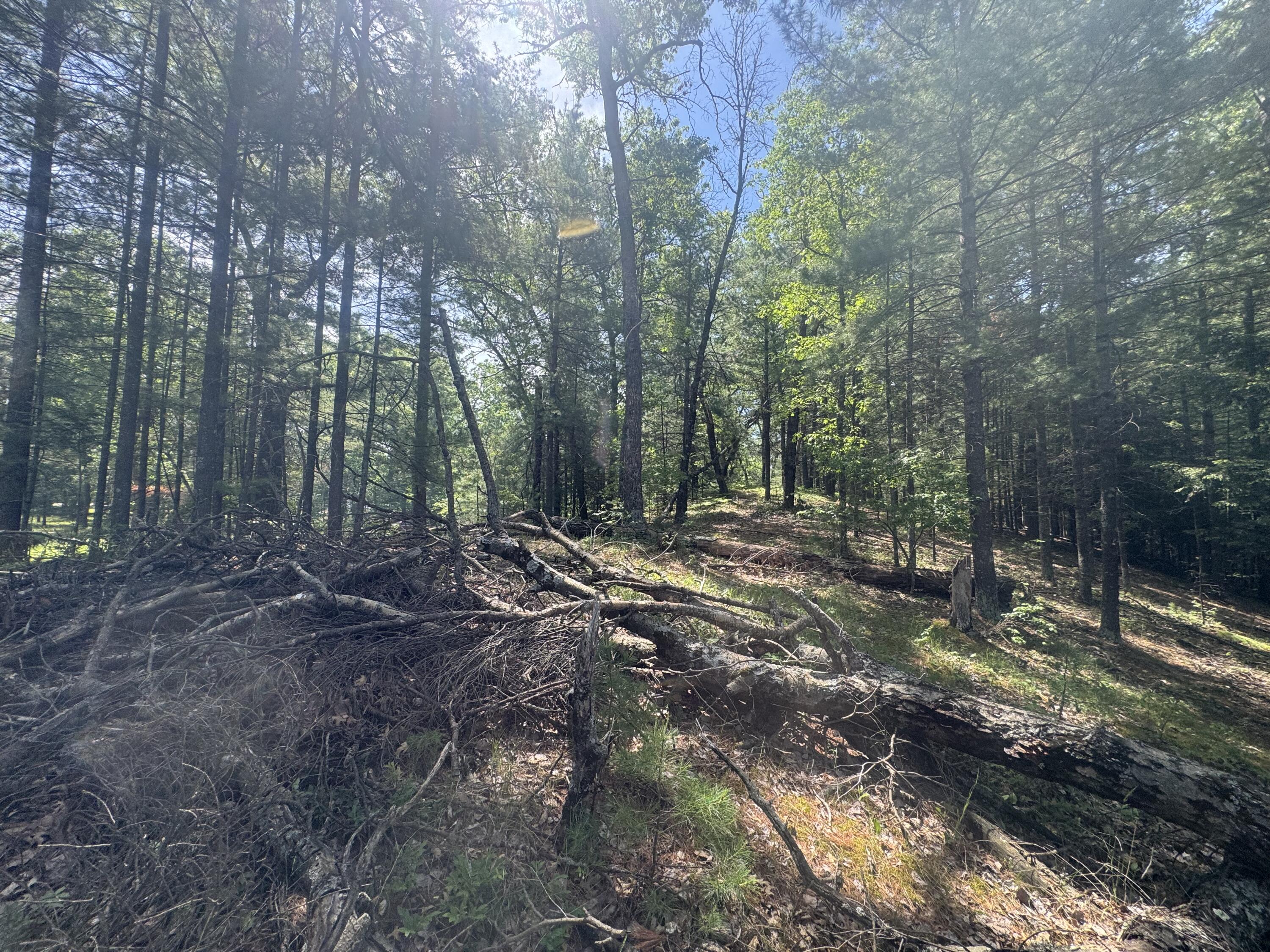 Lot 24 Riverview