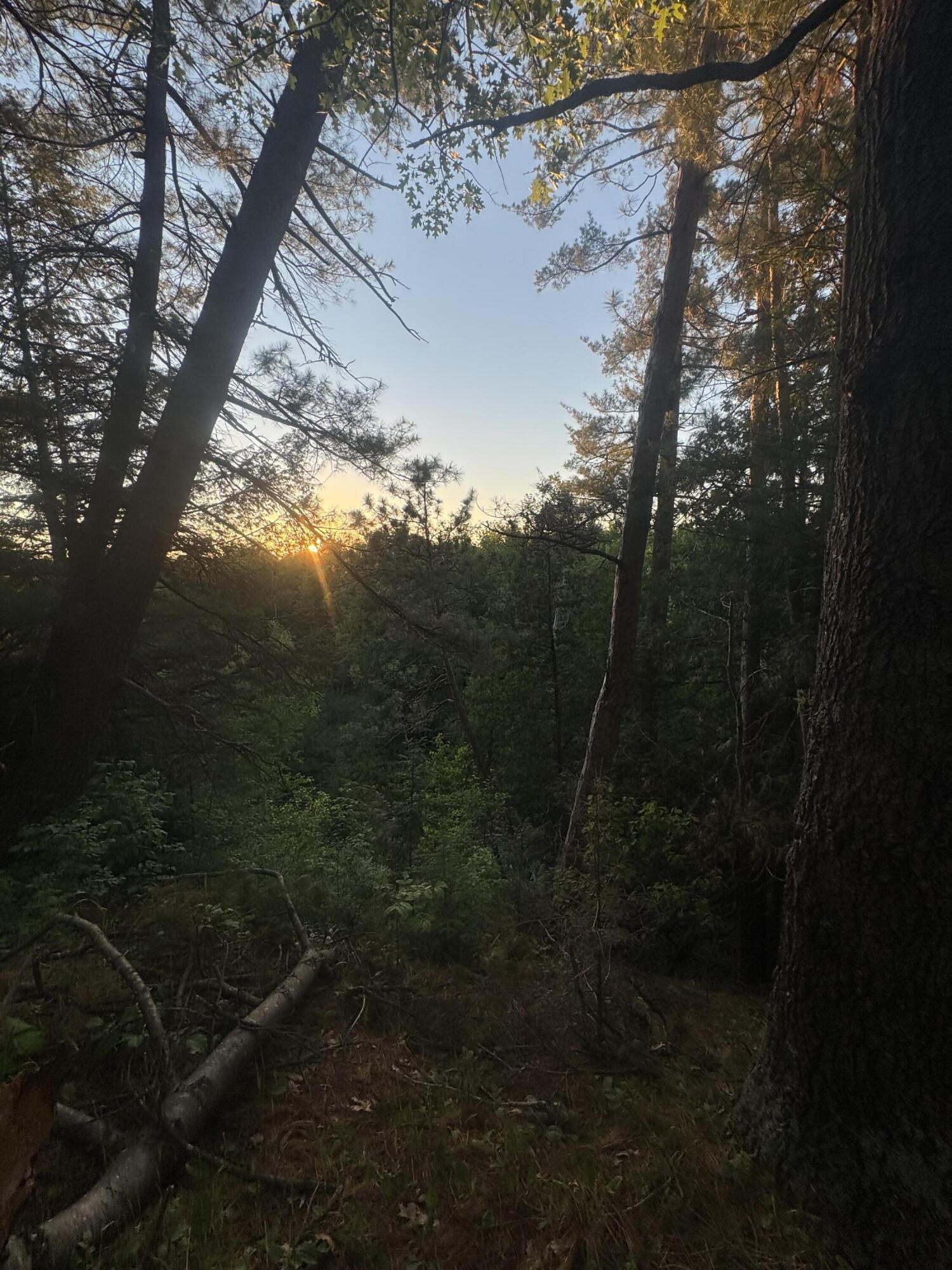 Lot 24 Riverview