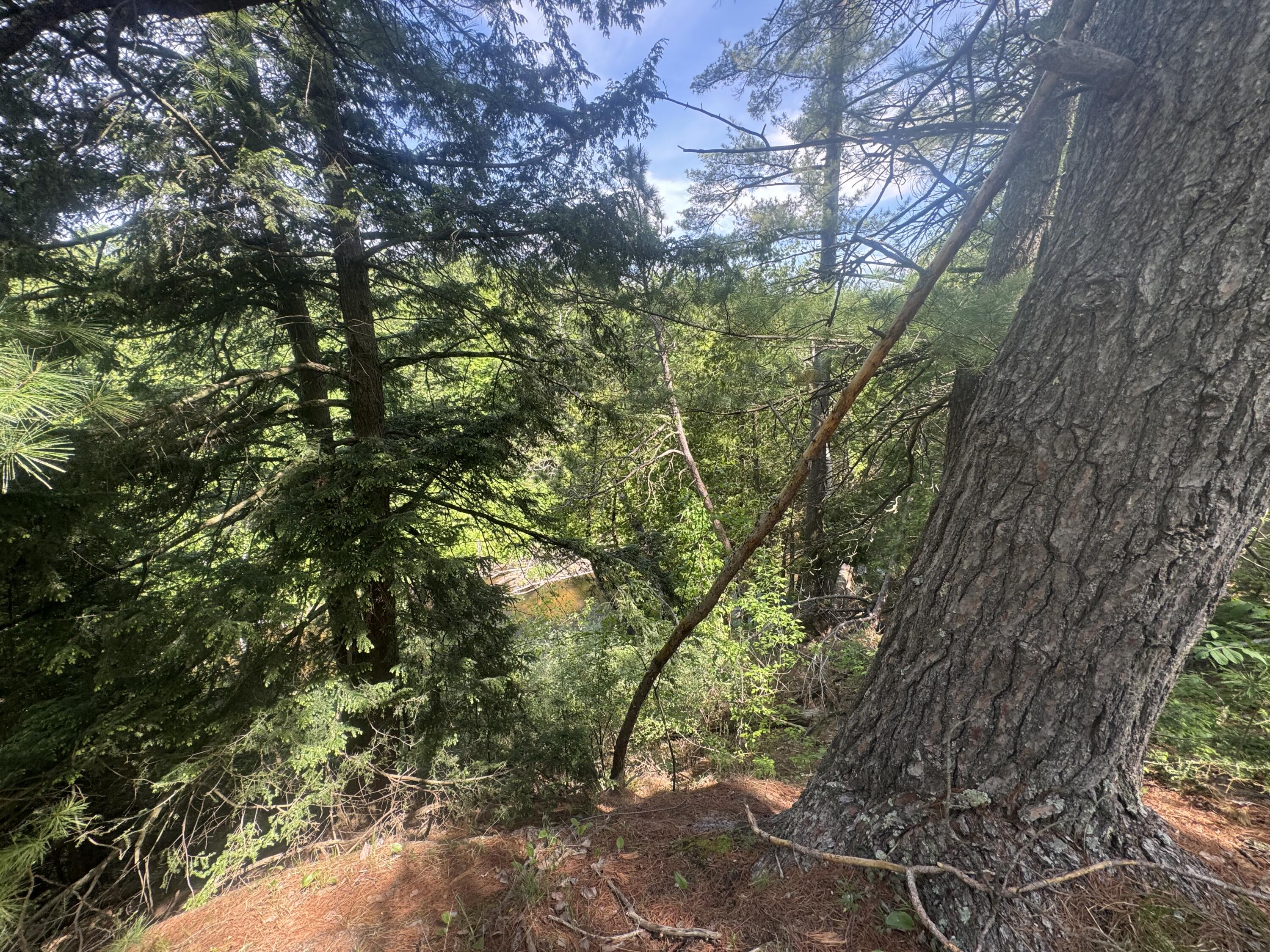 Lot 24 Riverview