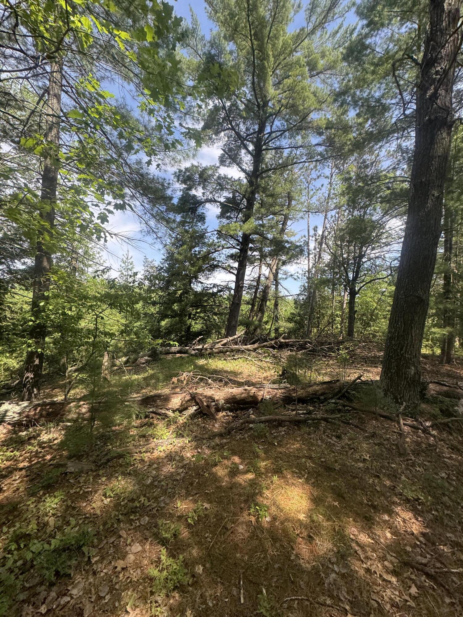 Lot 24 Riverview