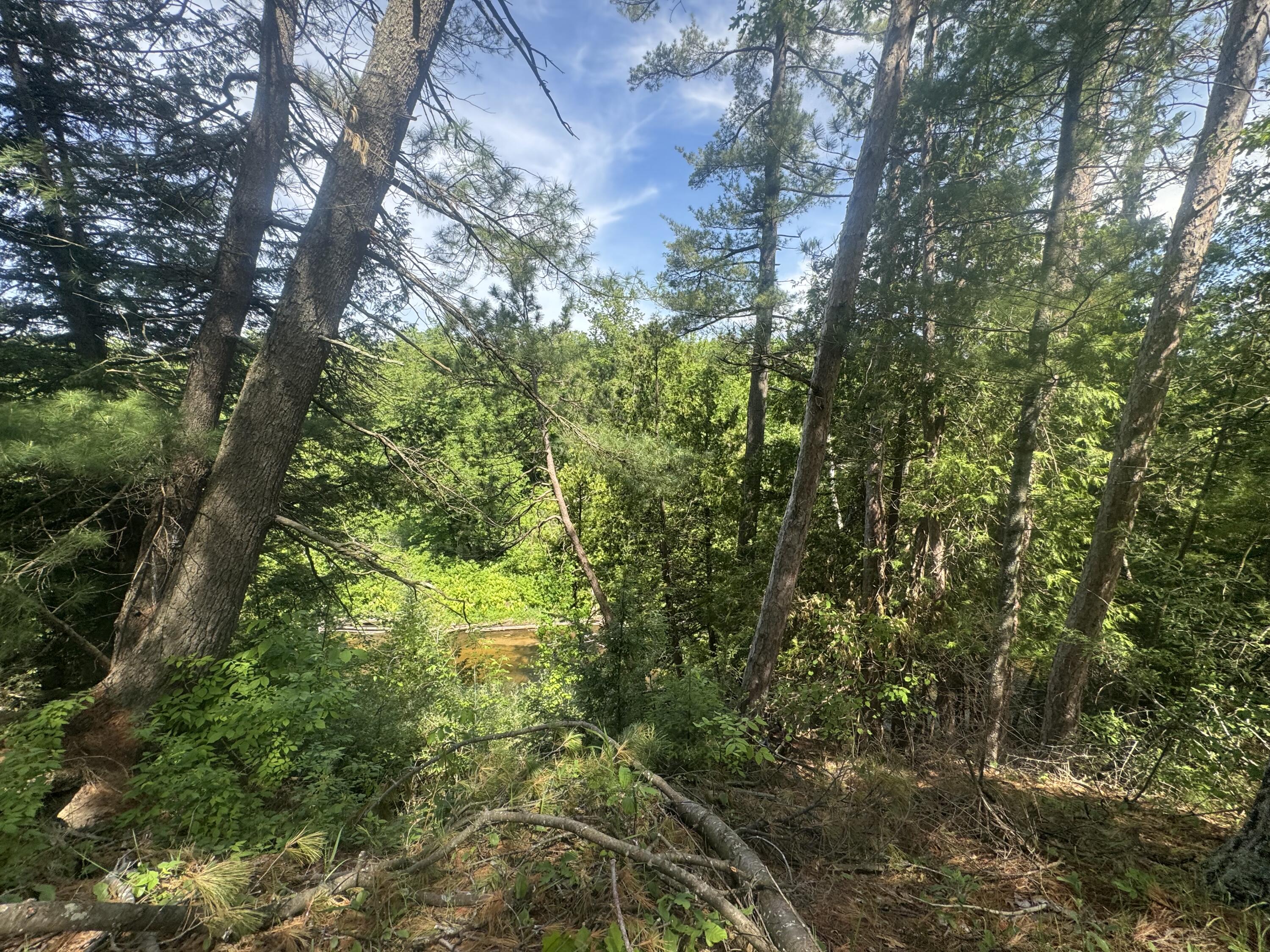 Lot 24 Riverview