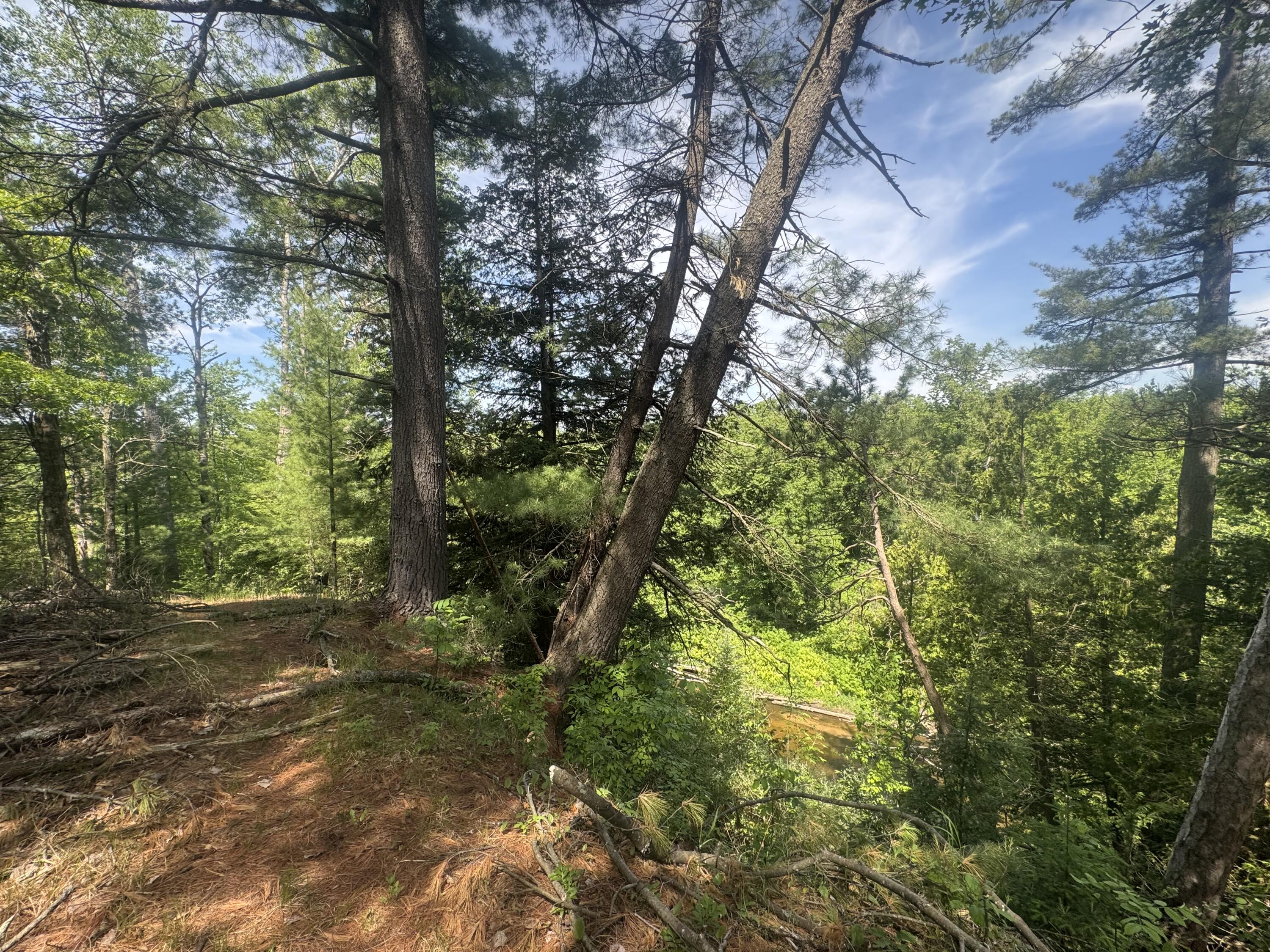 Lot 24 Riverview