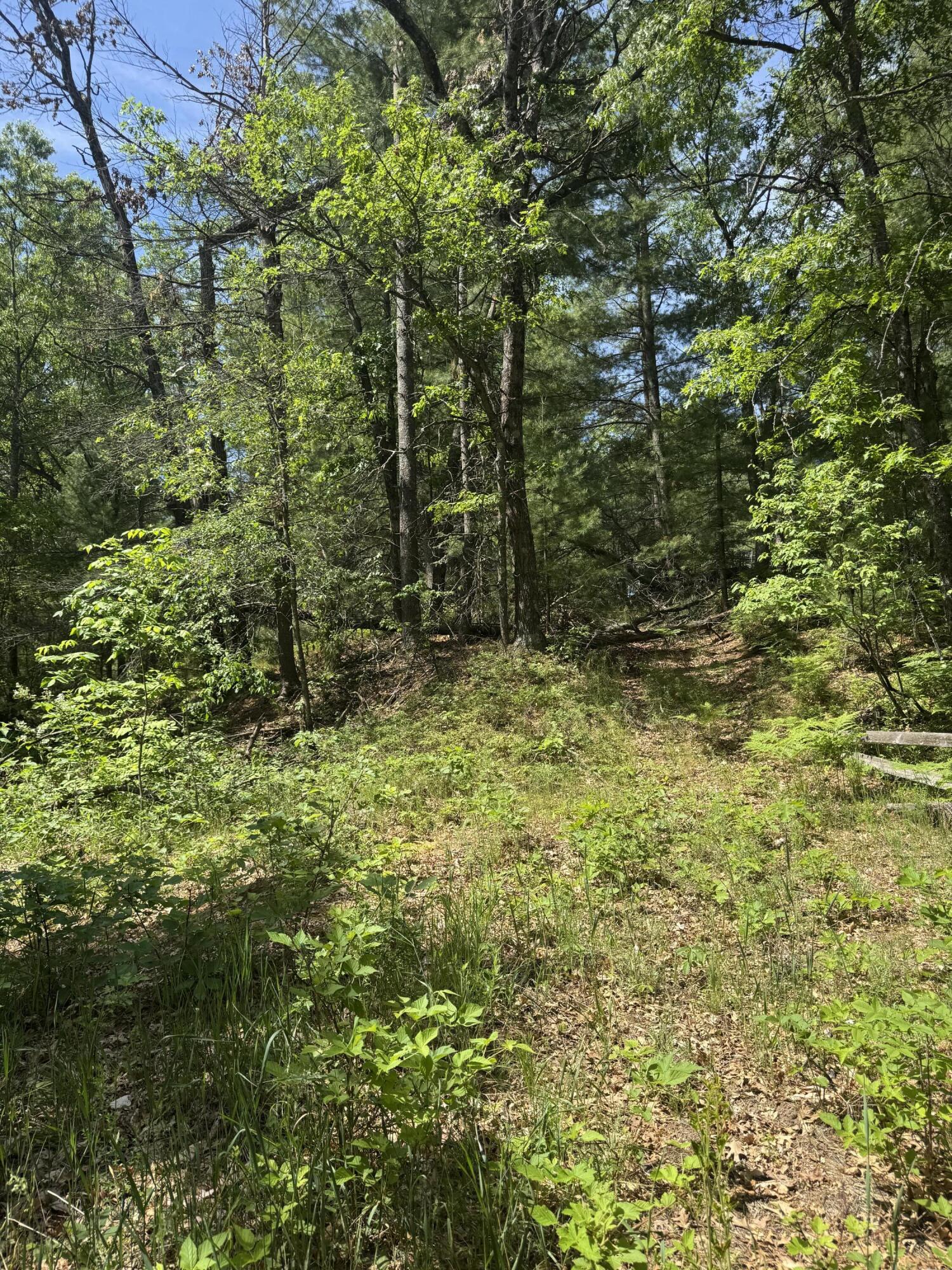 Lot 24 Riverview