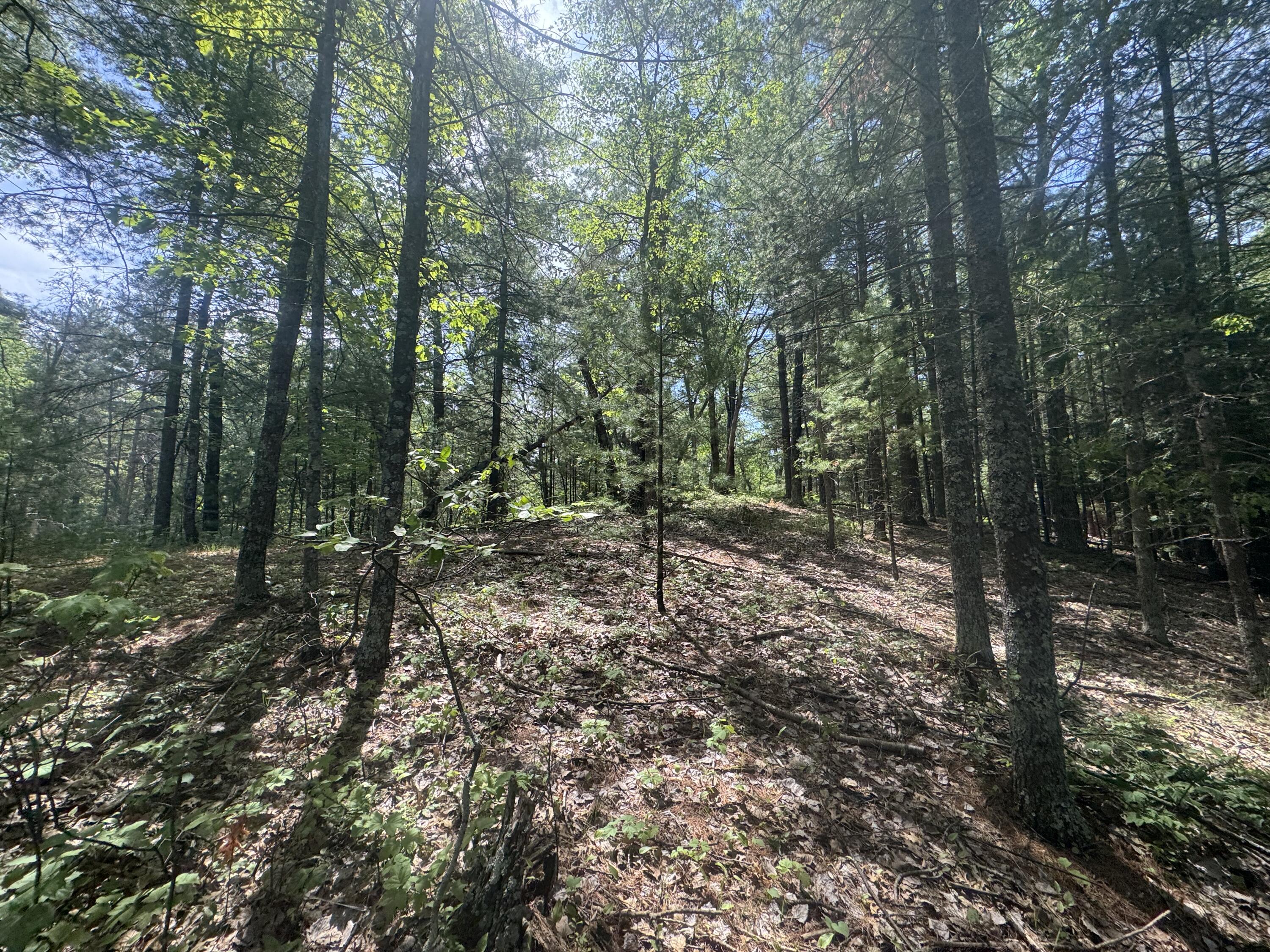 Lot 24 Riverview