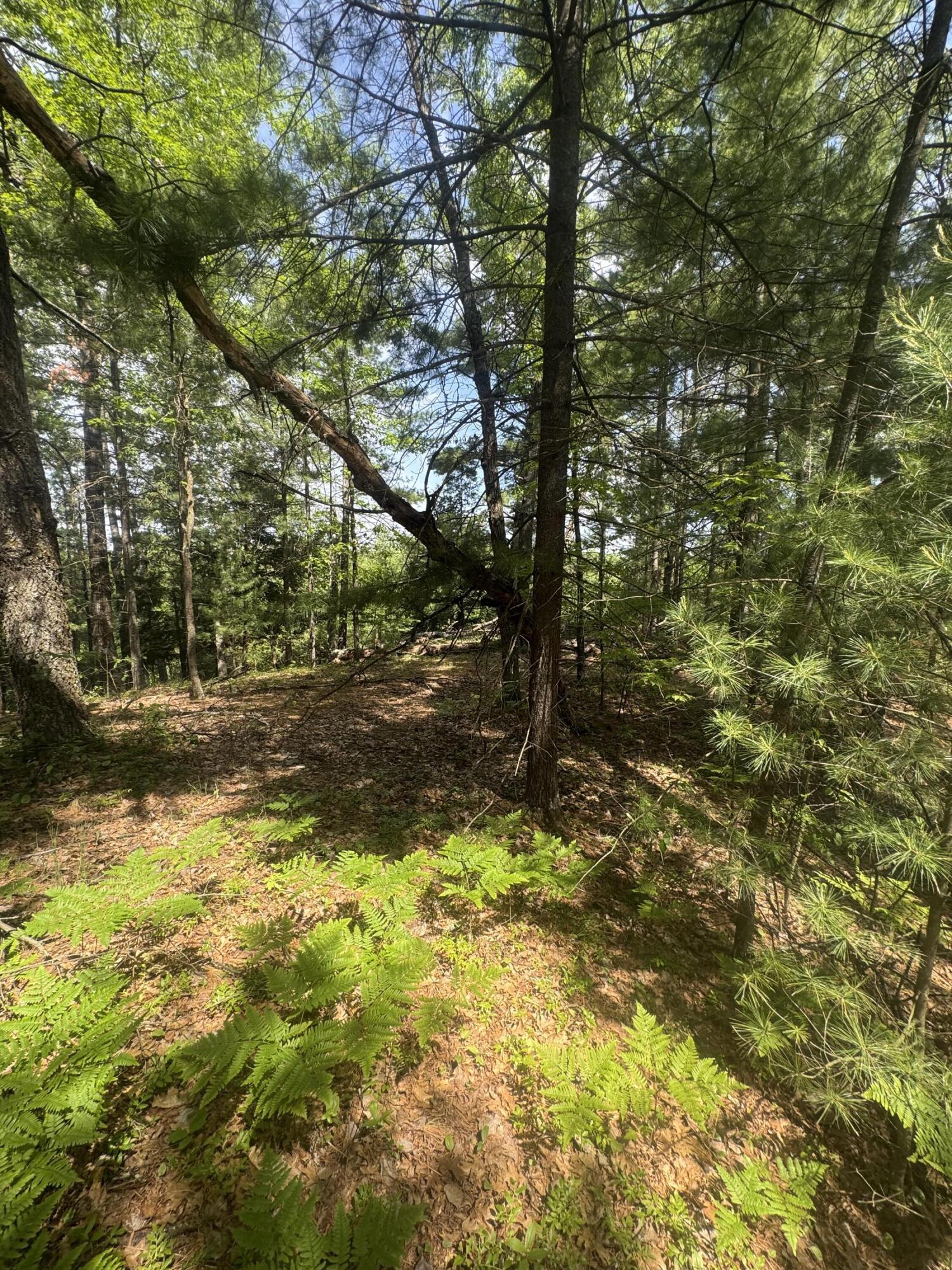Lot 24 Riverview