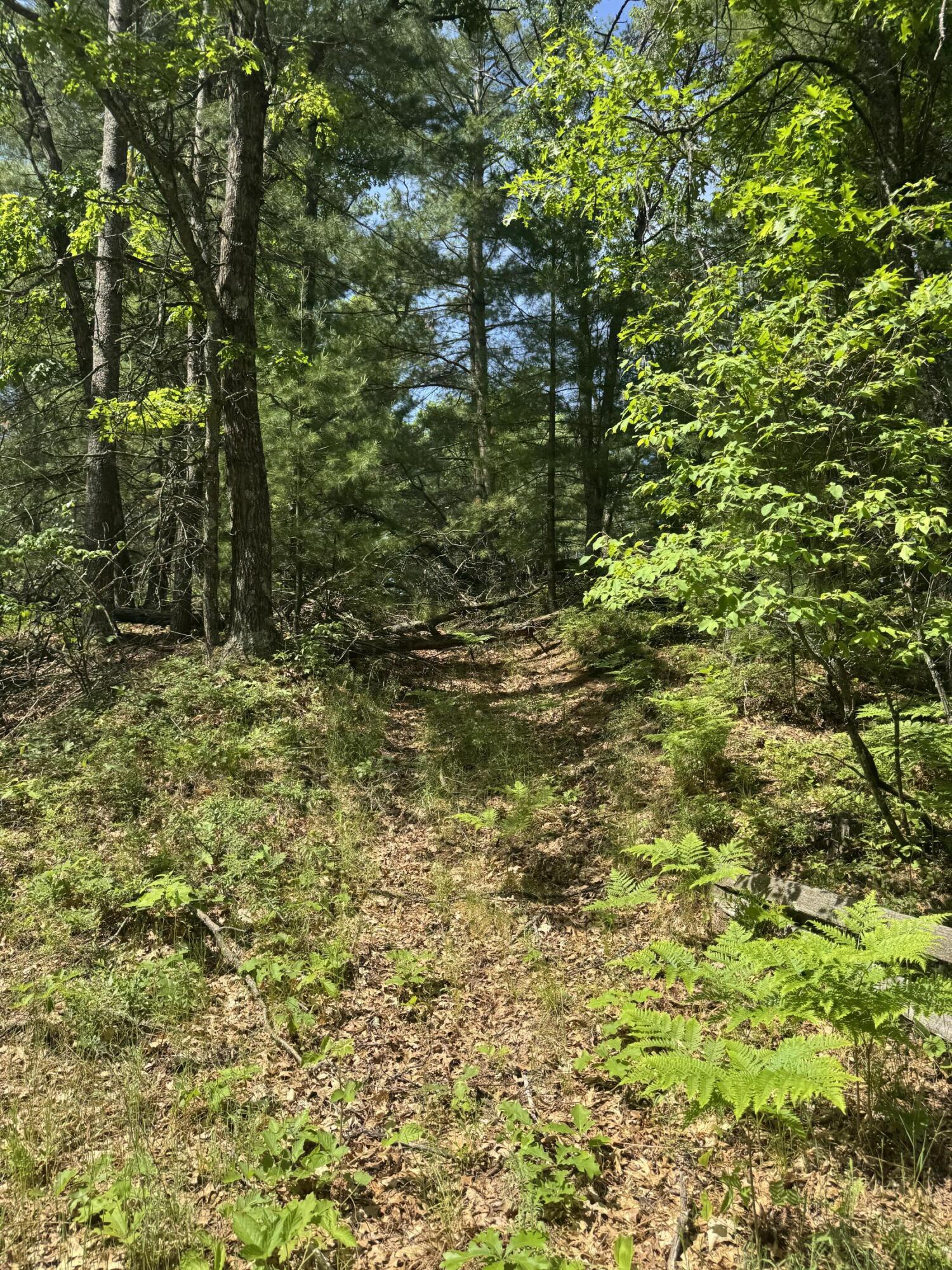 Lot 24 Riverview