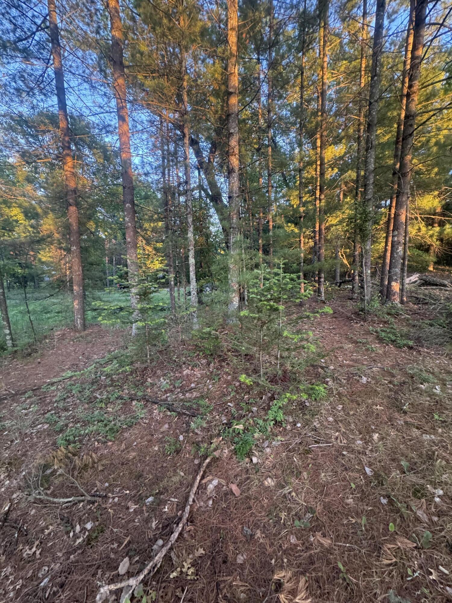 Lot 24 Riverview