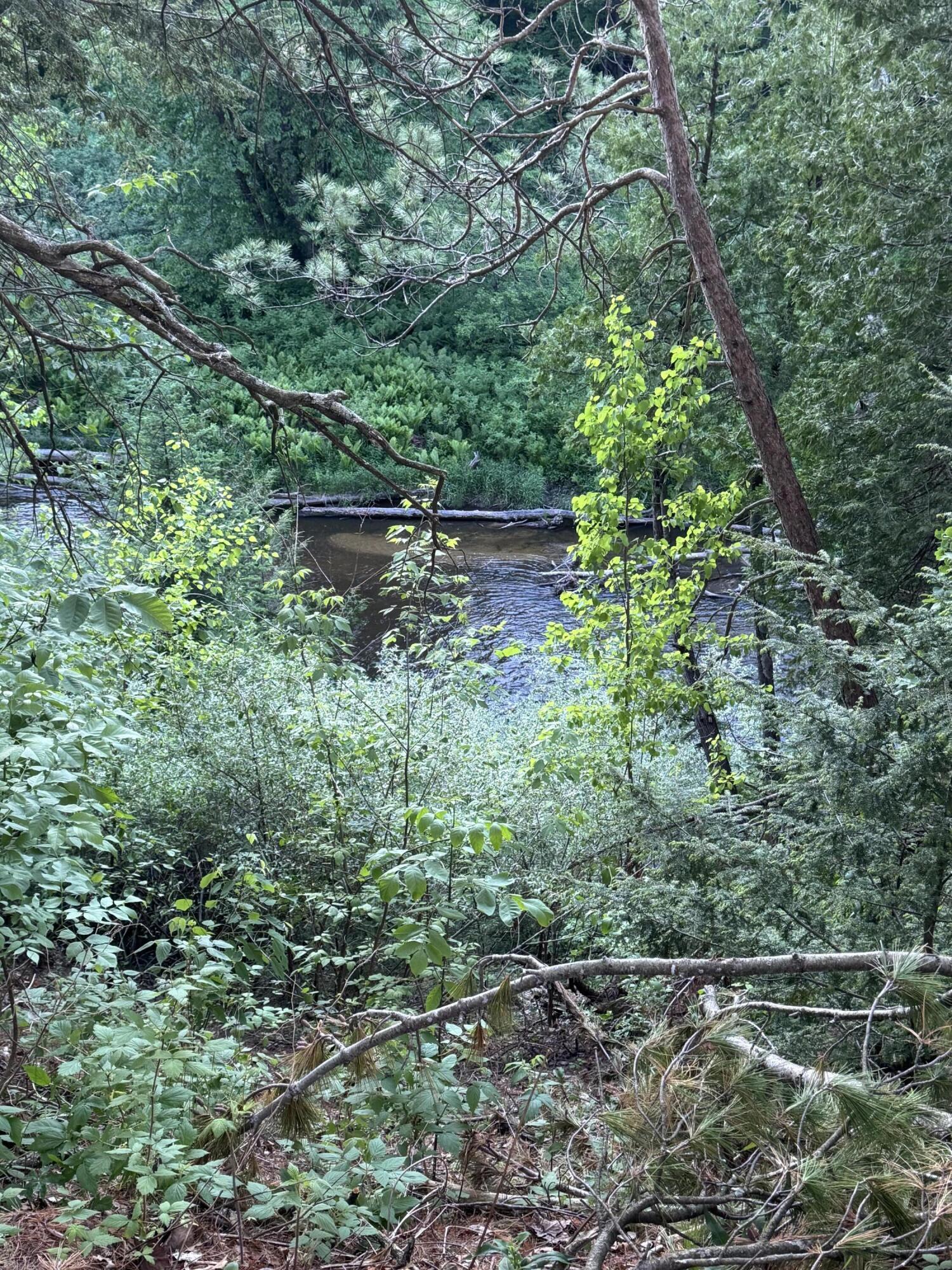 Lot 24 Riverview