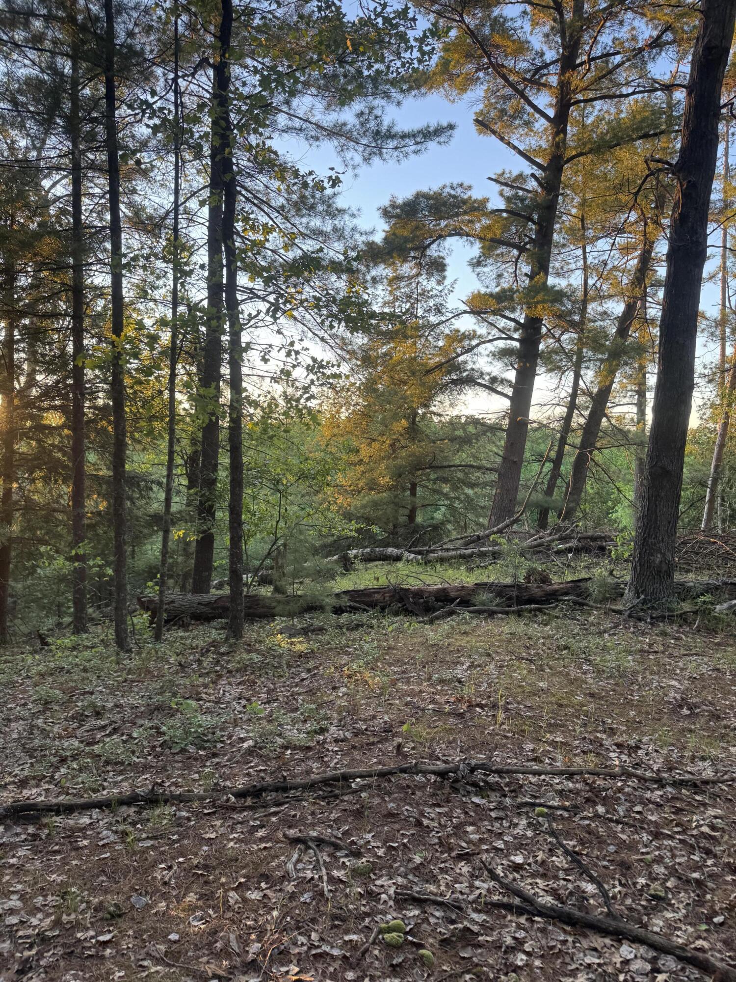 Lot 24 Riverview