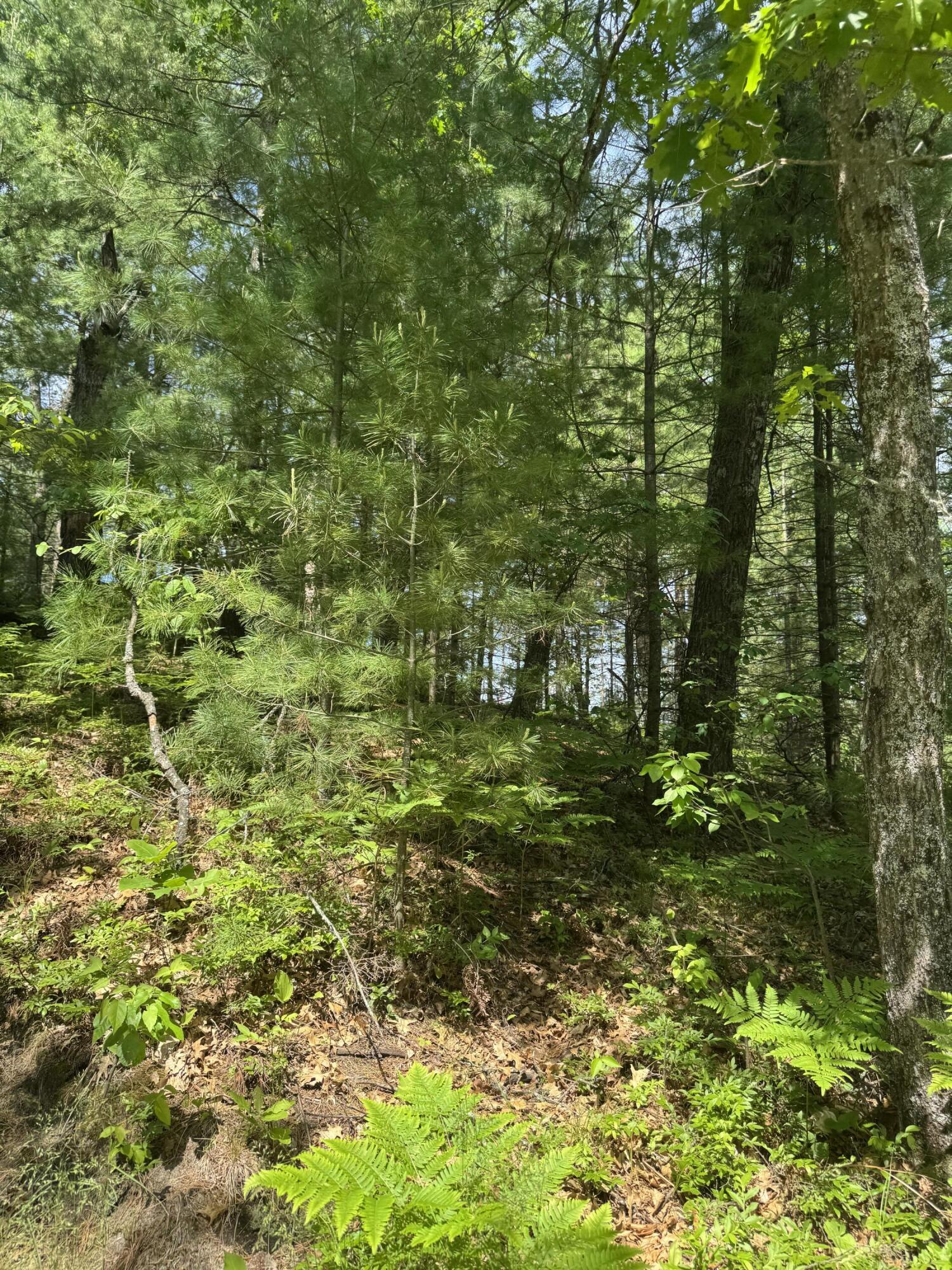 Lot 24 Riverview