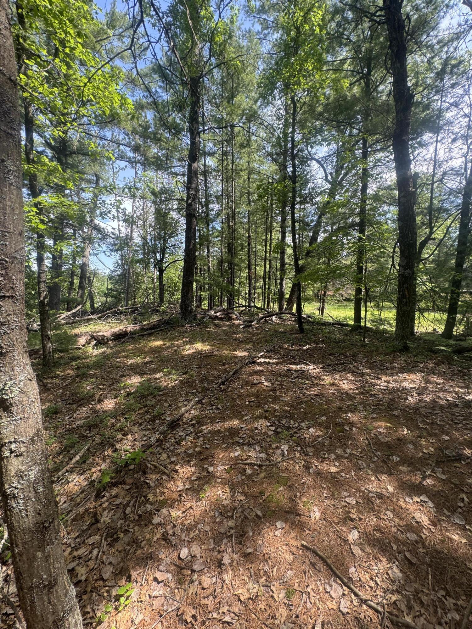 Lot 24 Riverview