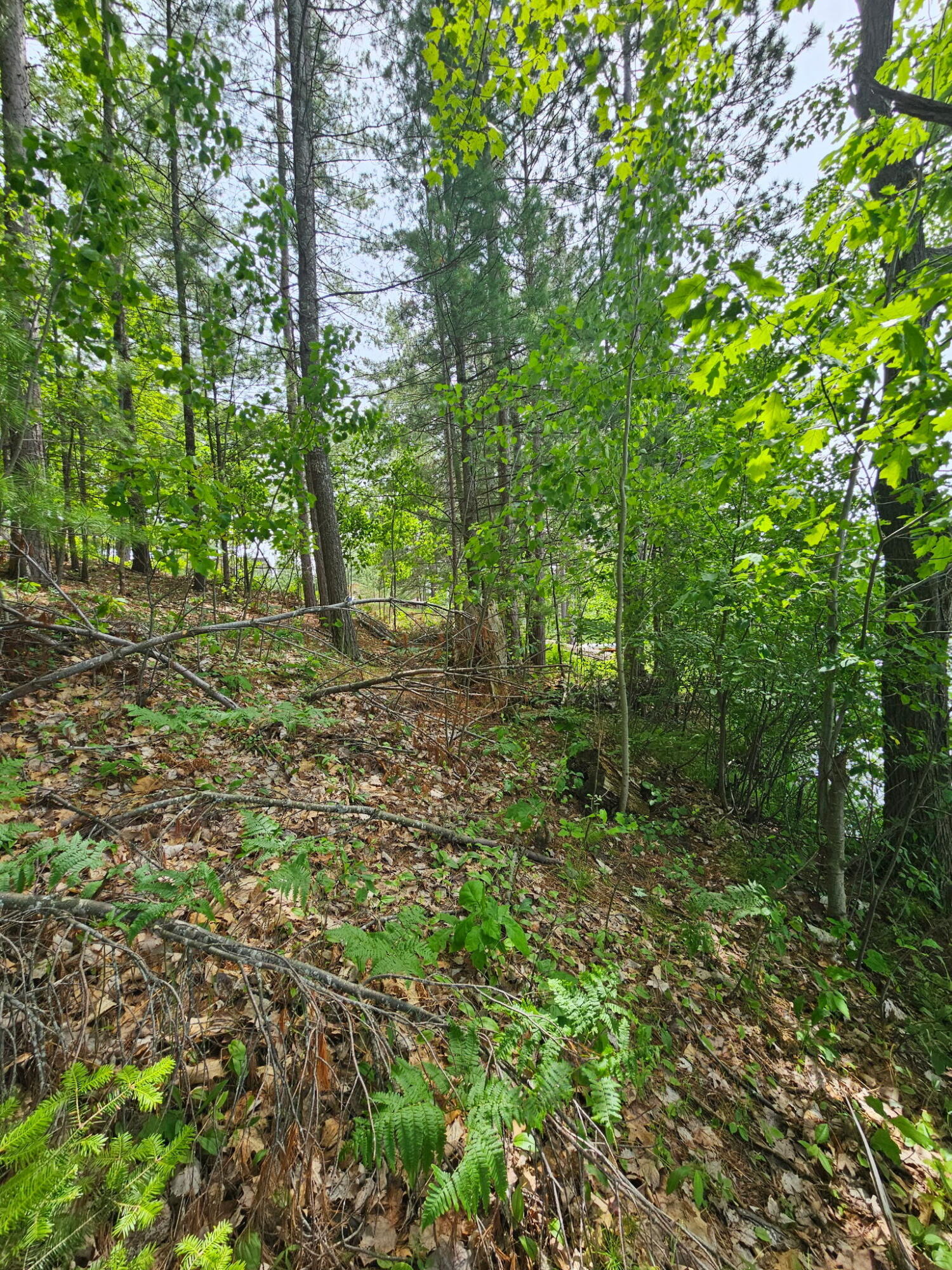 2195 Lake Drive