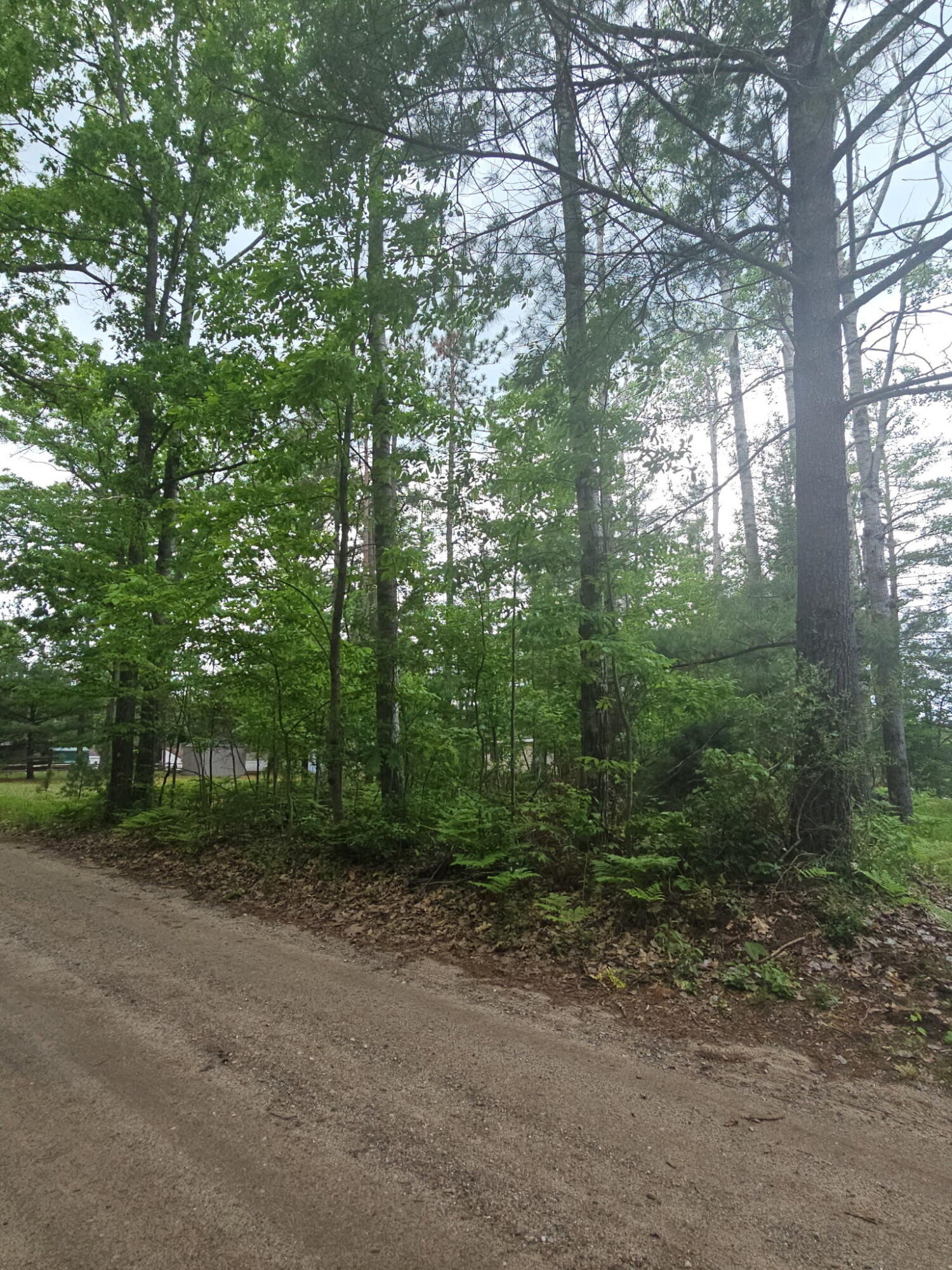 2195 Lake Drive