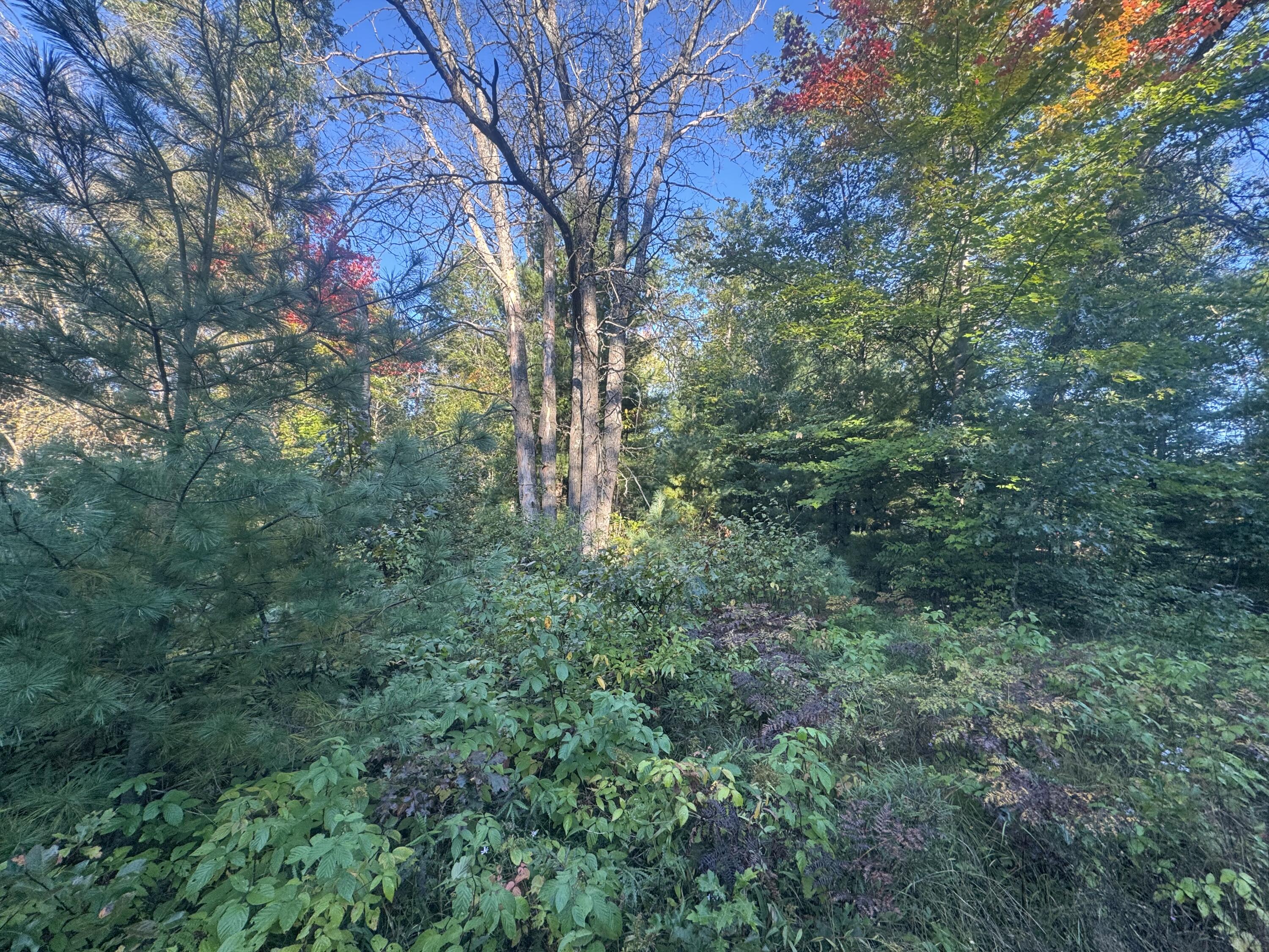 Lot 17 Aeronca Road