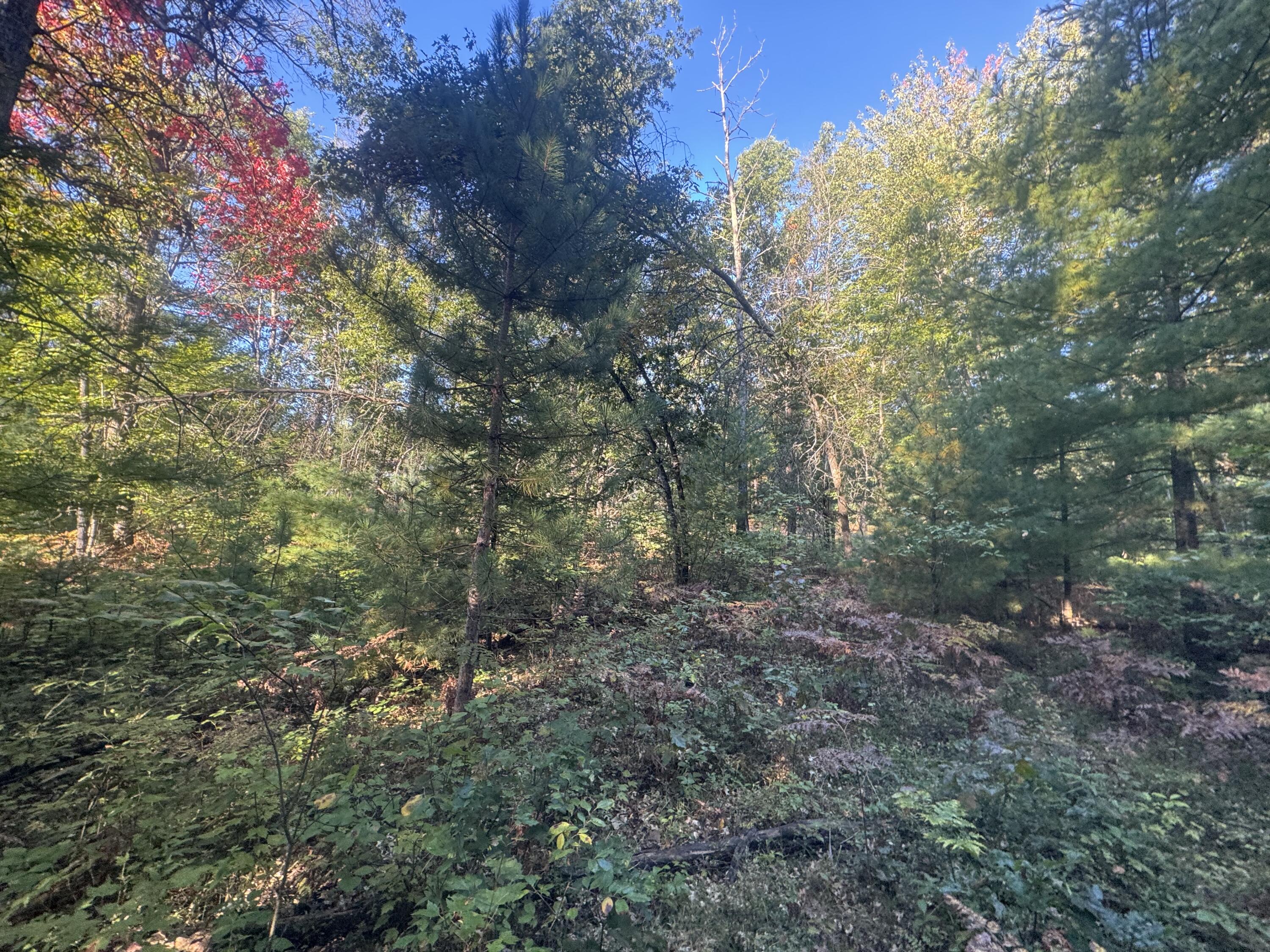 Lot 17 Aeronca Road