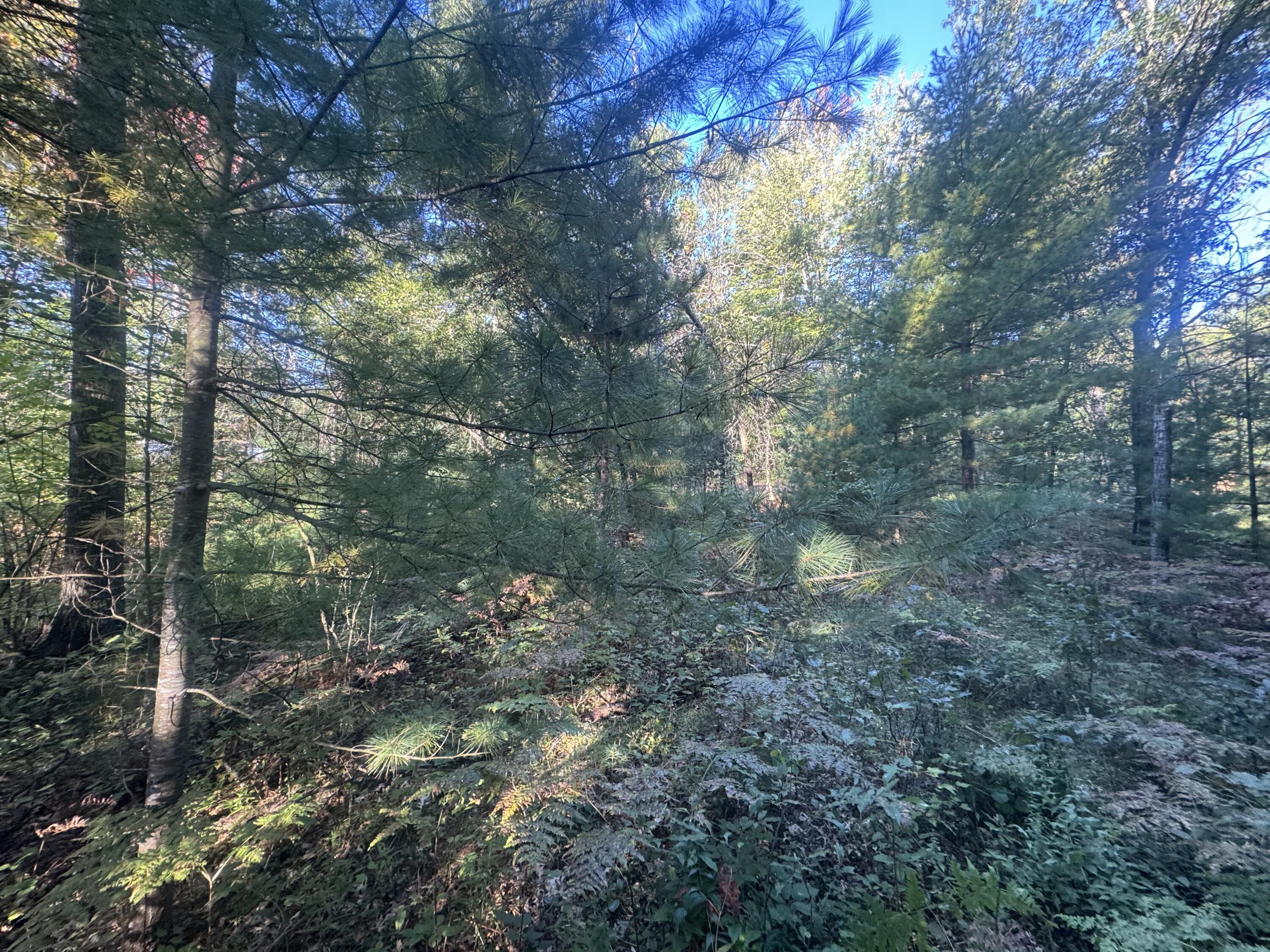 Lot 17 Aeronca Road