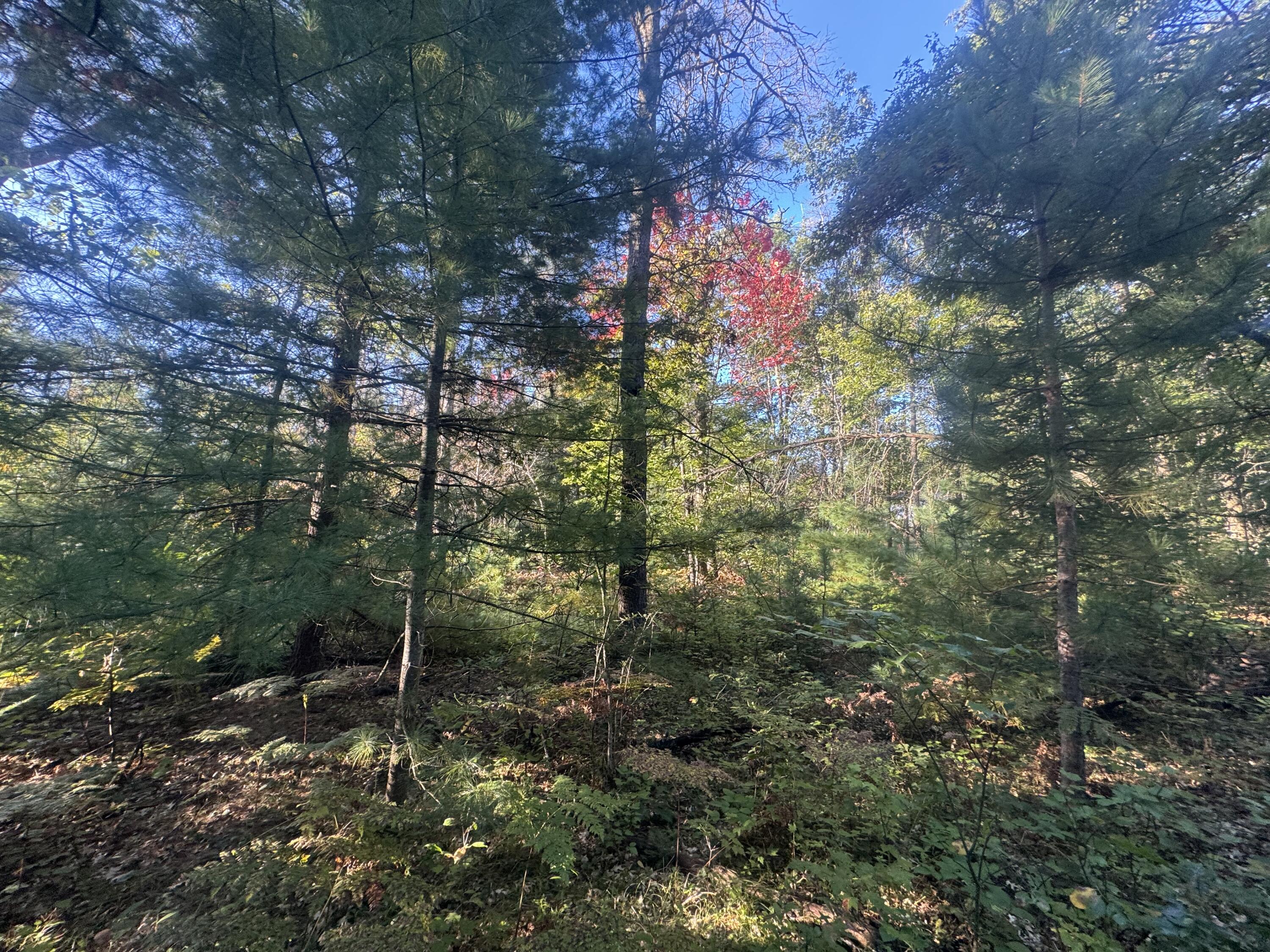 Lot 17 Aeronca Road