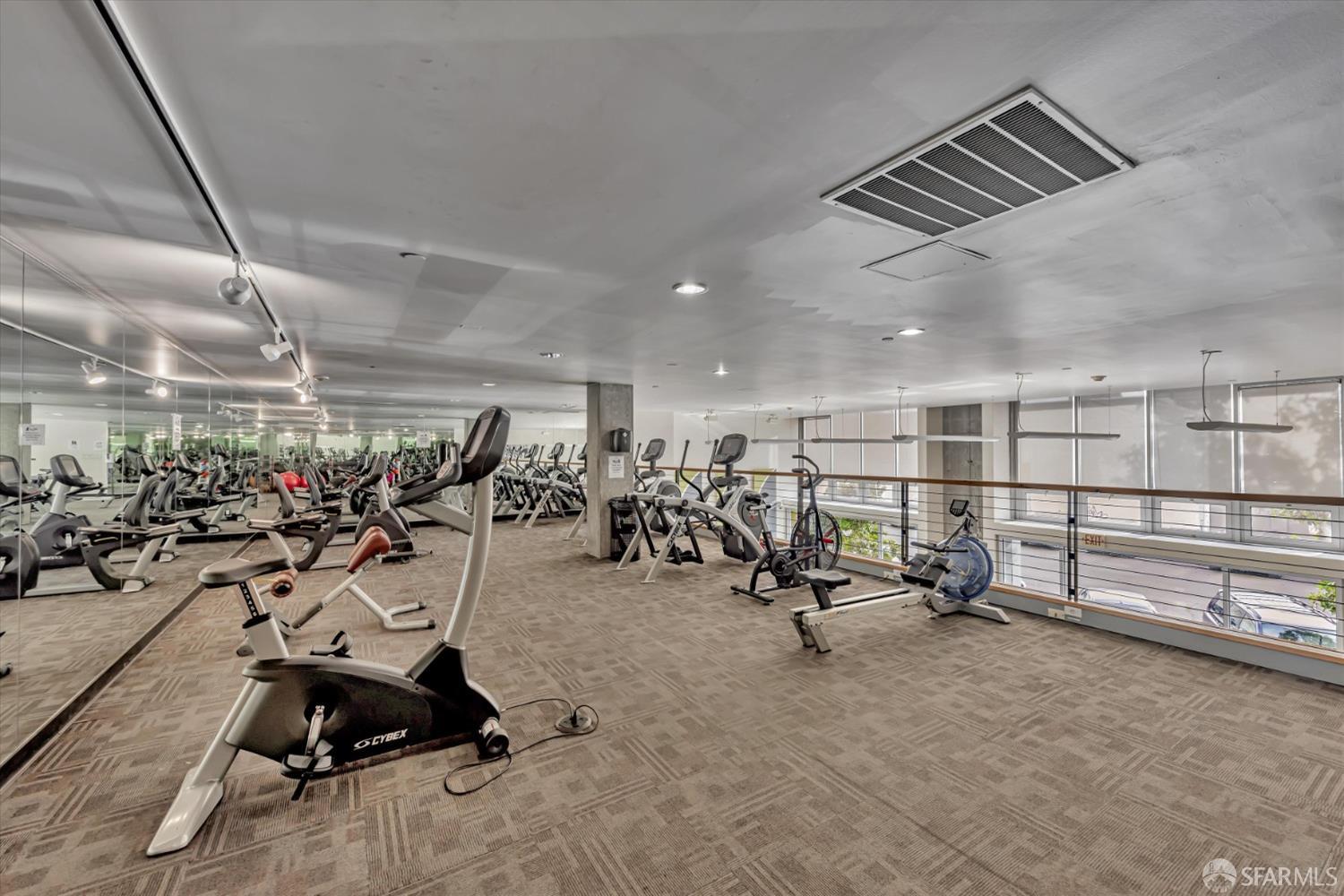 311 Oak Street # 539