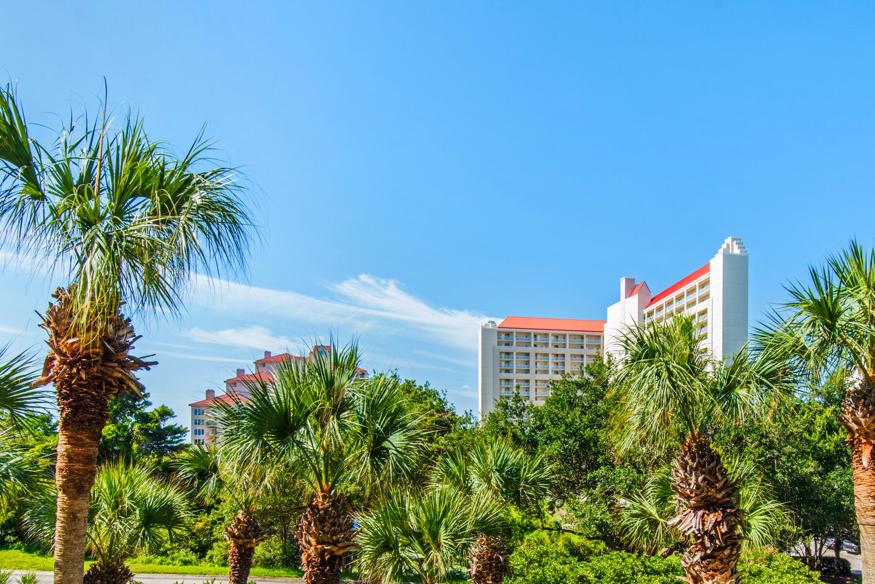 515 Tops L Beach Boulevard, # 313