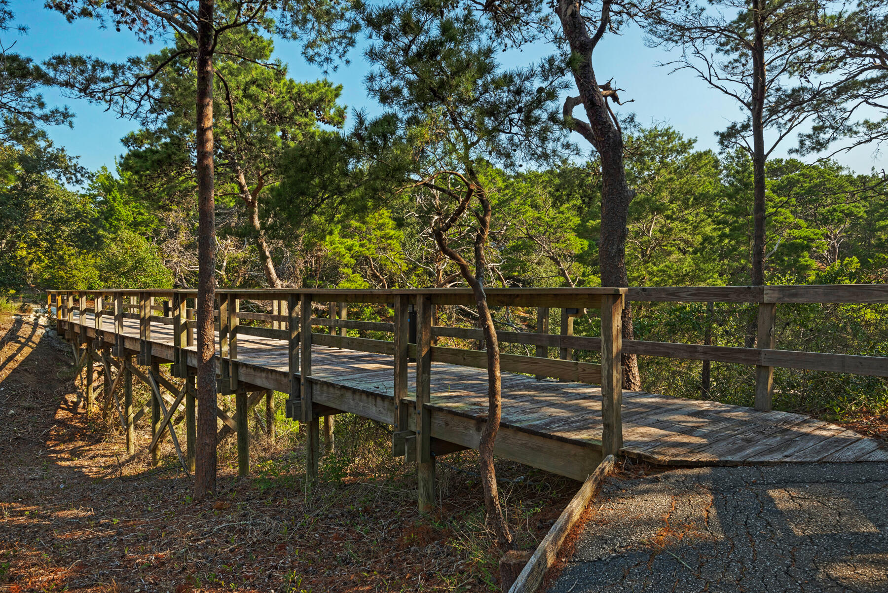 515 Tops L Beach Boulevard, # 313