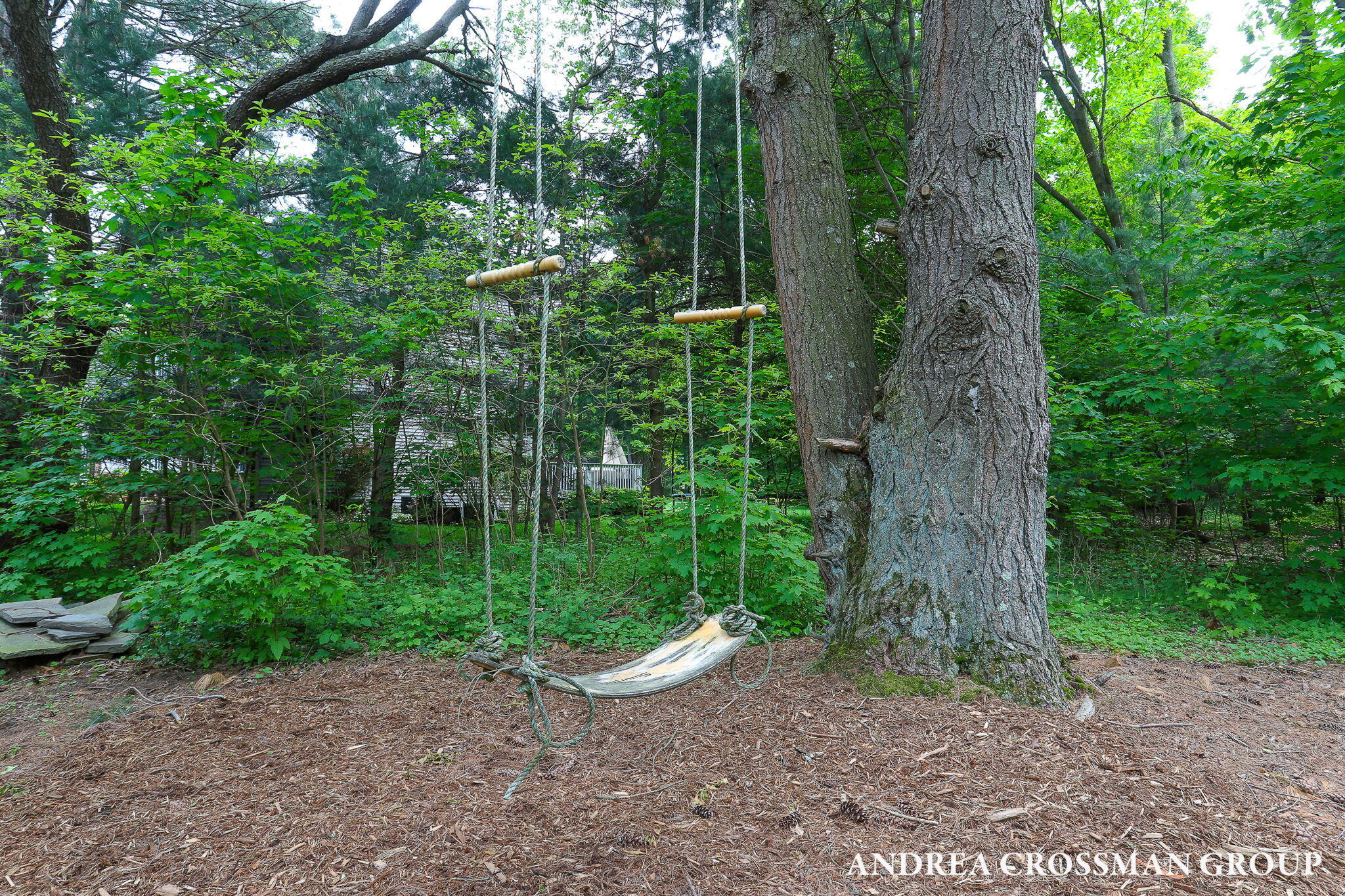 17098 Donahue Woods Drive