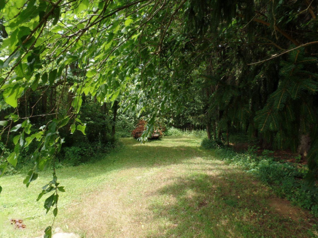 VL Blue Star Highway