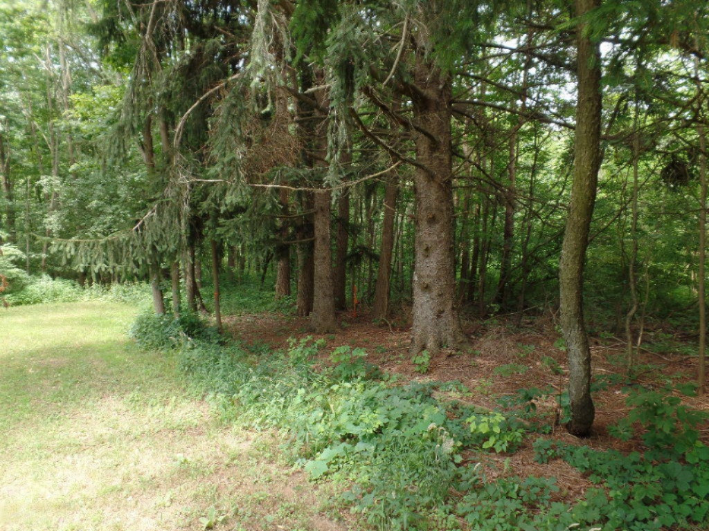 VL Blue Star Highway